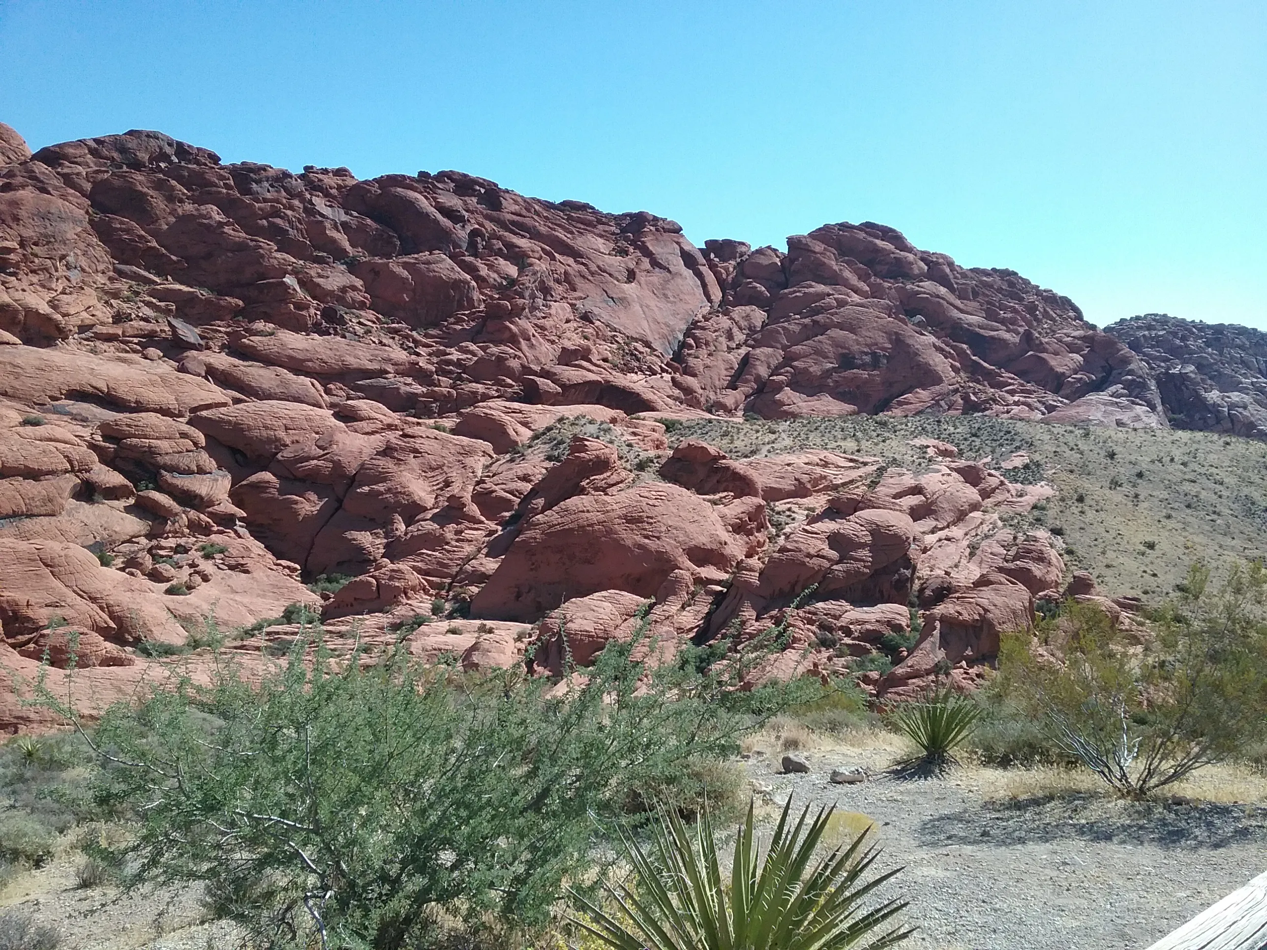 Drive the Red Rock Canyon Scenic Loop