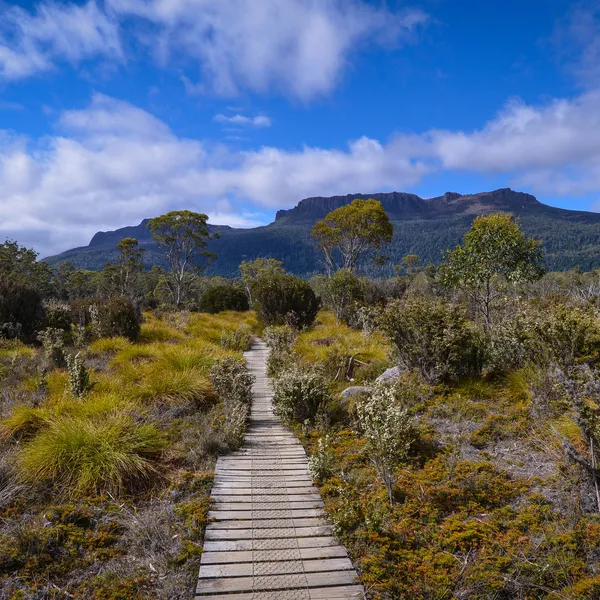 Explore the Wilderness in Tasmania