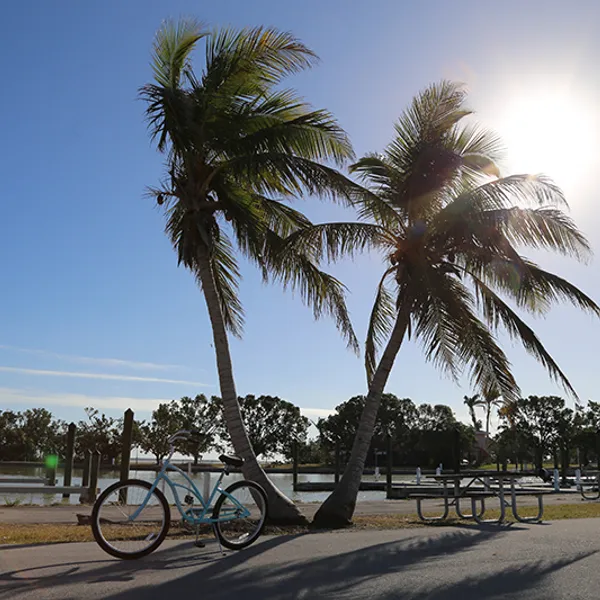 Escape Winter and Explore the Everglades While Staying in These Eco-Tents