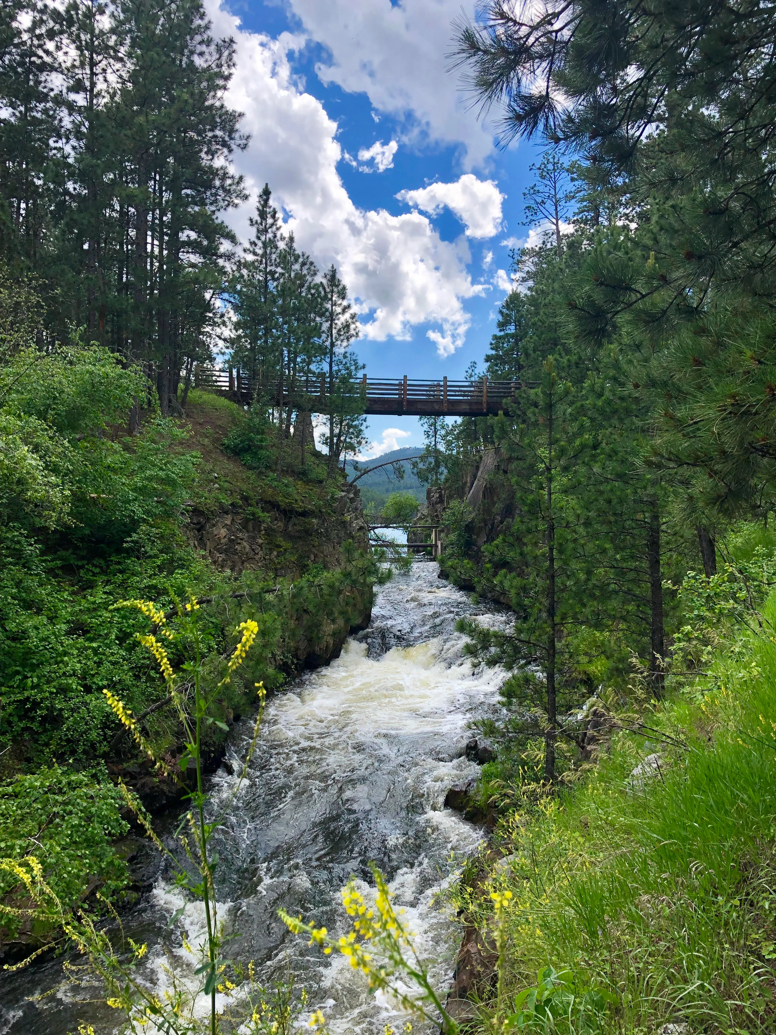 Dakota Point at Sheridan Lake via the North Trail