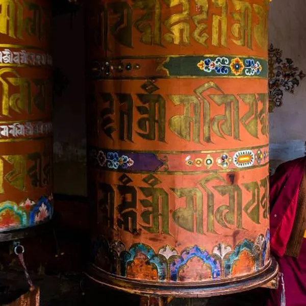 Explore the World's Only Carbon-Negative Country
