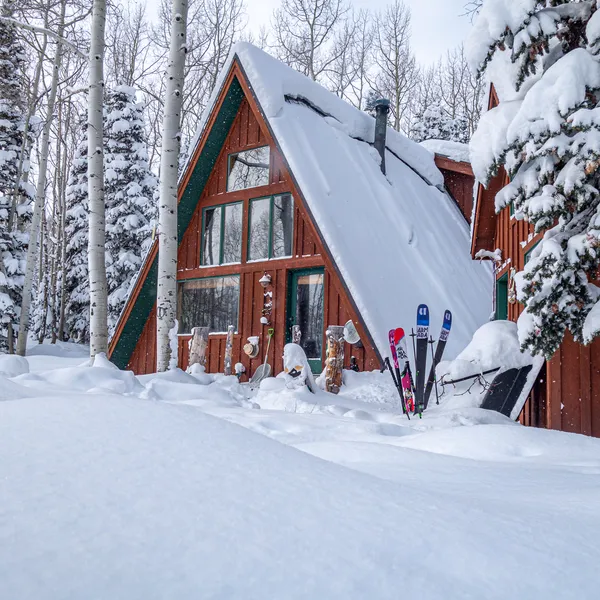 #Cabinlife for the Holidays