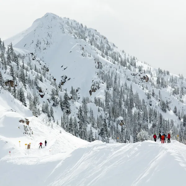 Make Golden, British Columbia Your Base Camp for Adventure