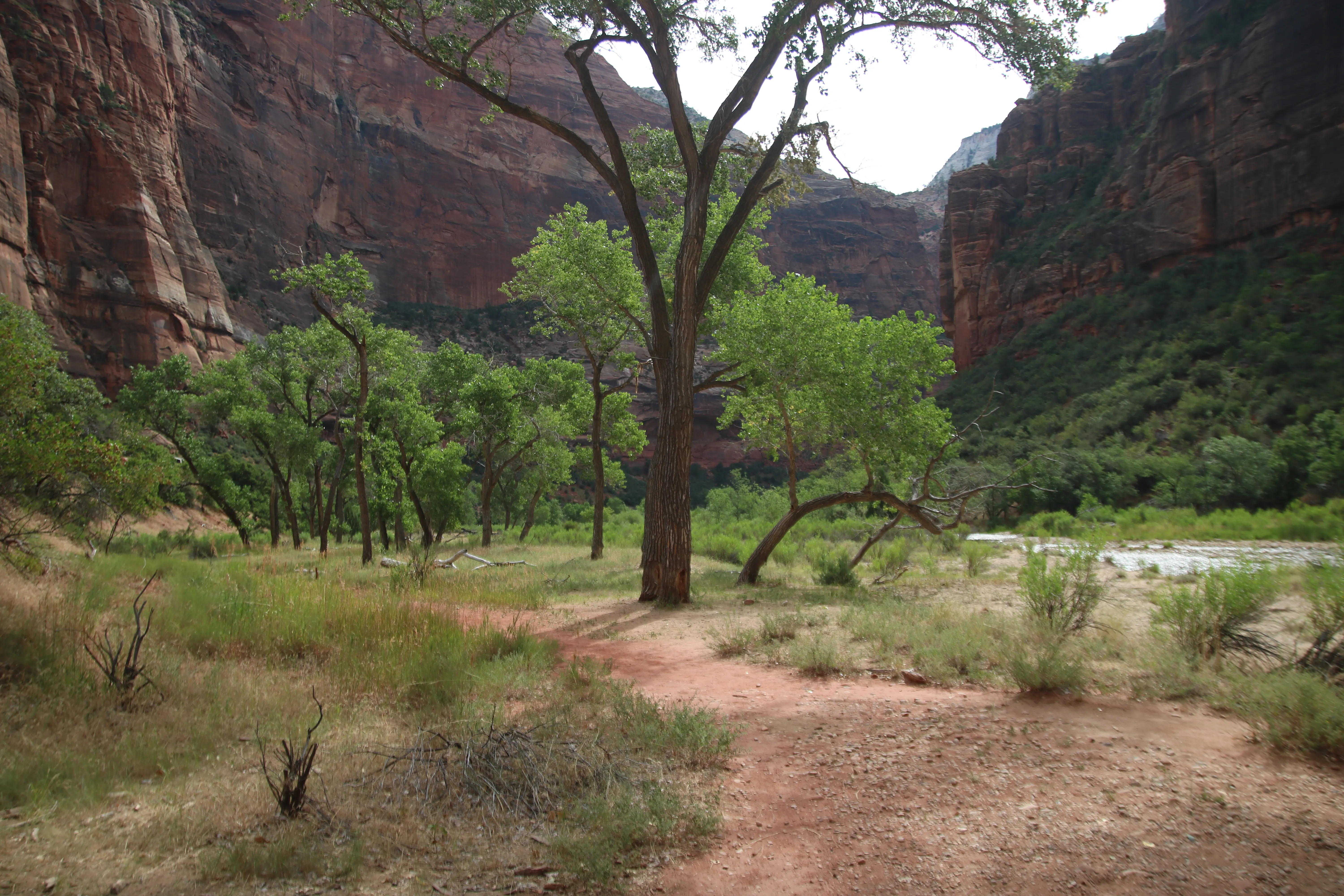 Zion National Park Bus stop 8