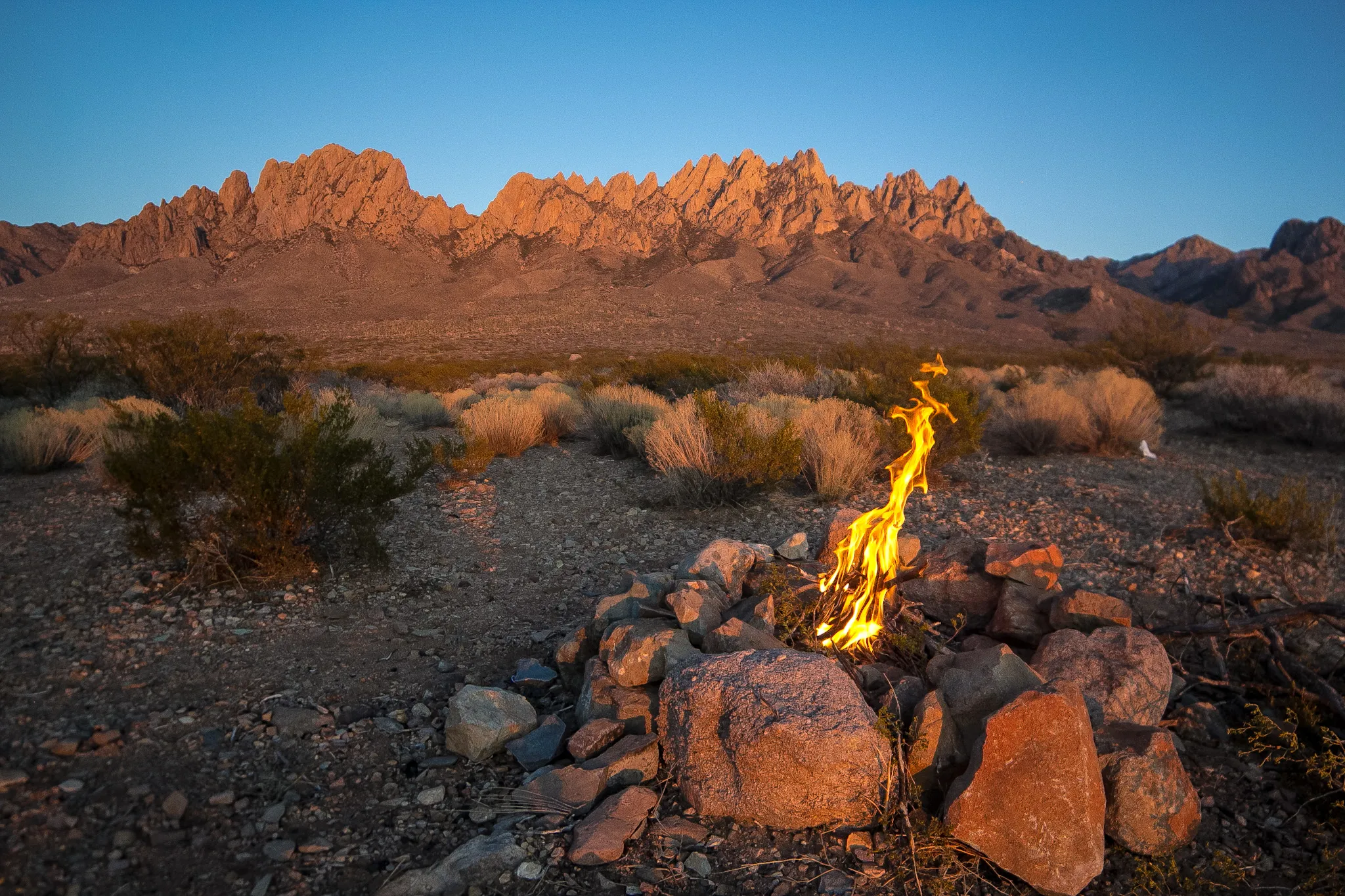 Camp Below the Organ Mountains