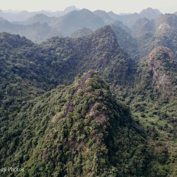 Lan Ha Bay: A Look at Sustainable Ecotourism