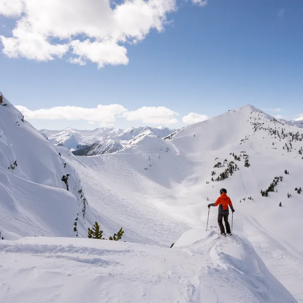 Dive into Winter in Golden, British Columbia