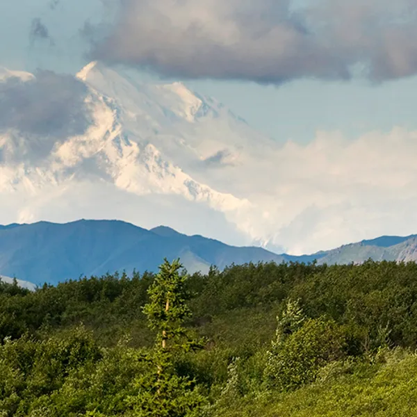 Adventure Awaits at Denali National Park & Preserve