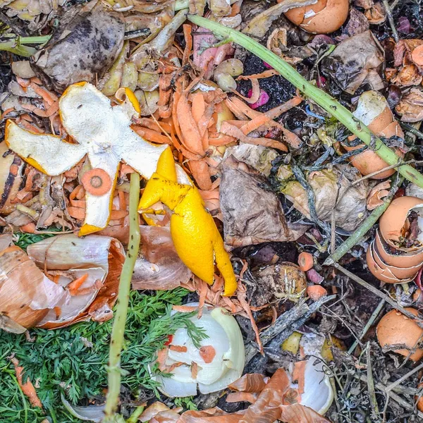 Organic Trash Is Still Trash