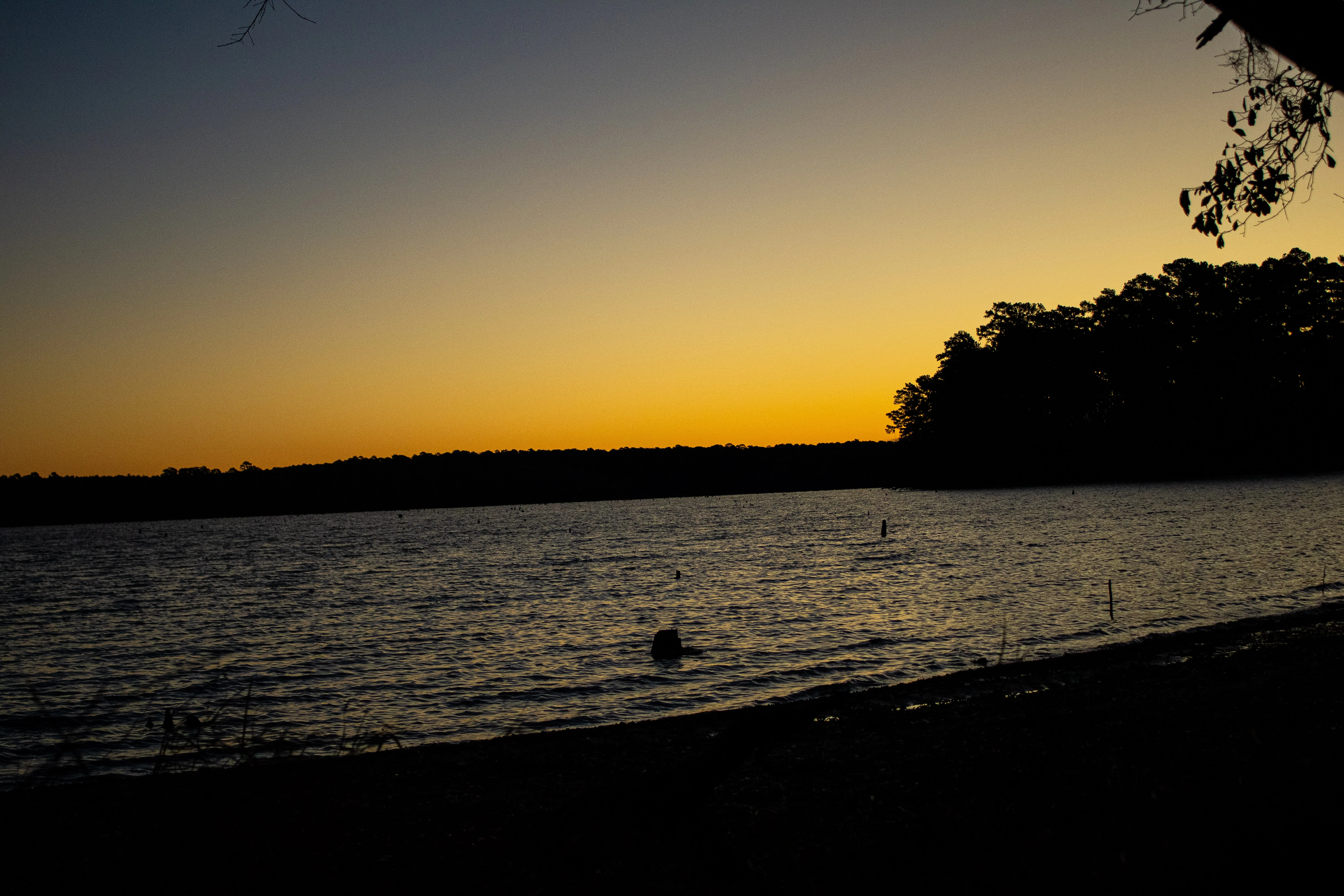 Hike the Lone Star Hiking Trail: Trailhead 1 to Lake Conroe