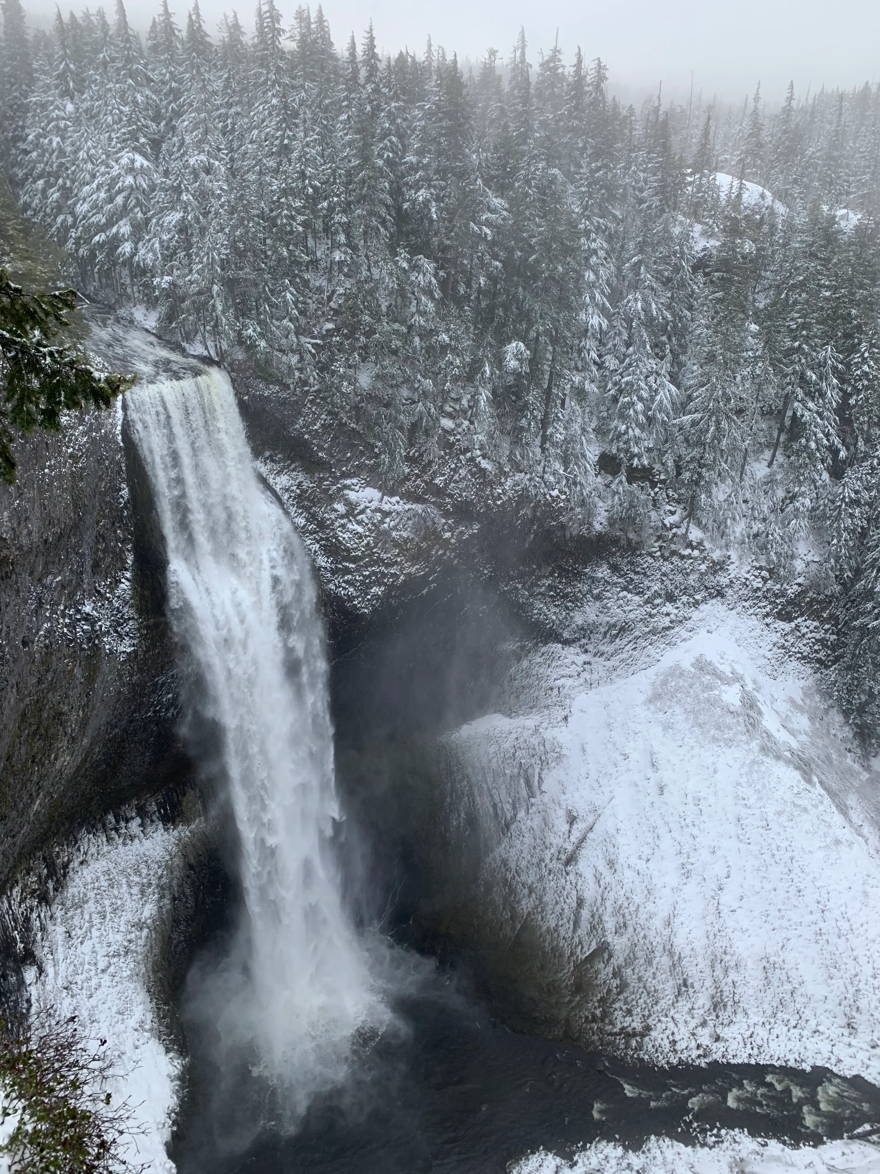 Diamond Creek Falls