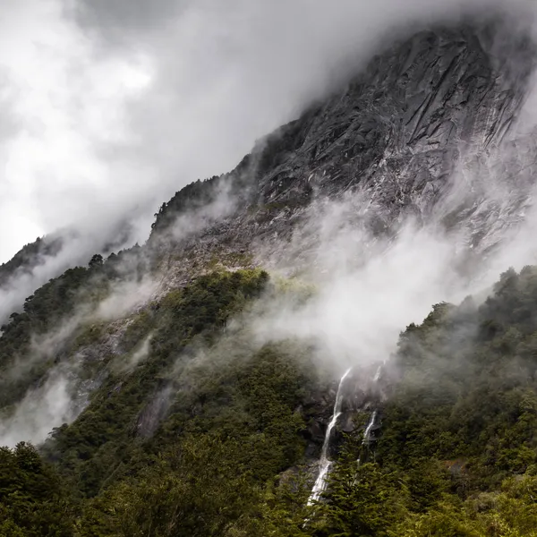 Discover Valle Cochamó, Where Jungles Meet Mountains