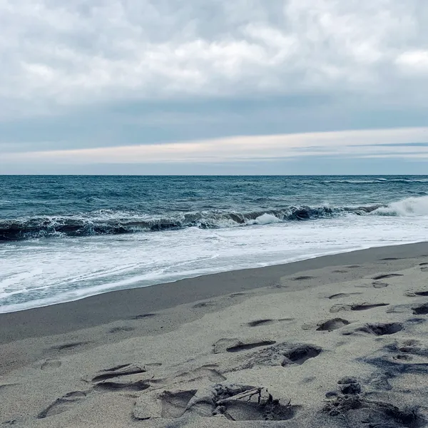 My Letter To The Ocean