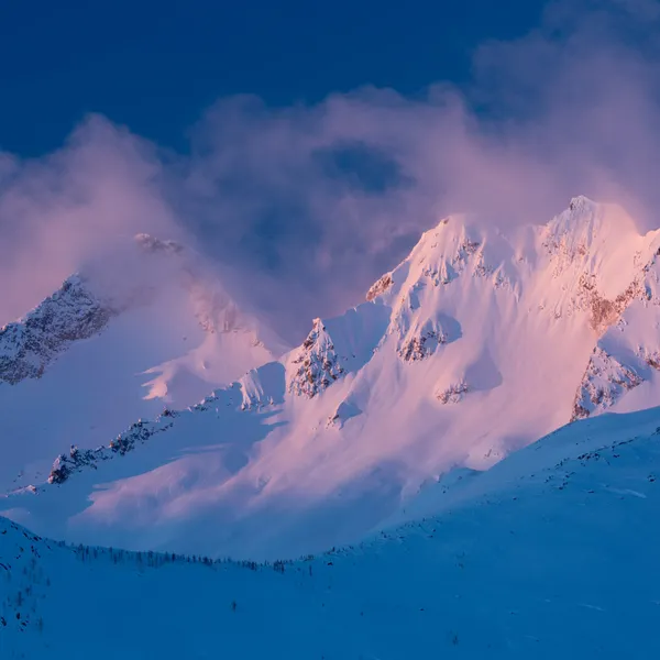 Stream These Adventure Films For Free Right Now