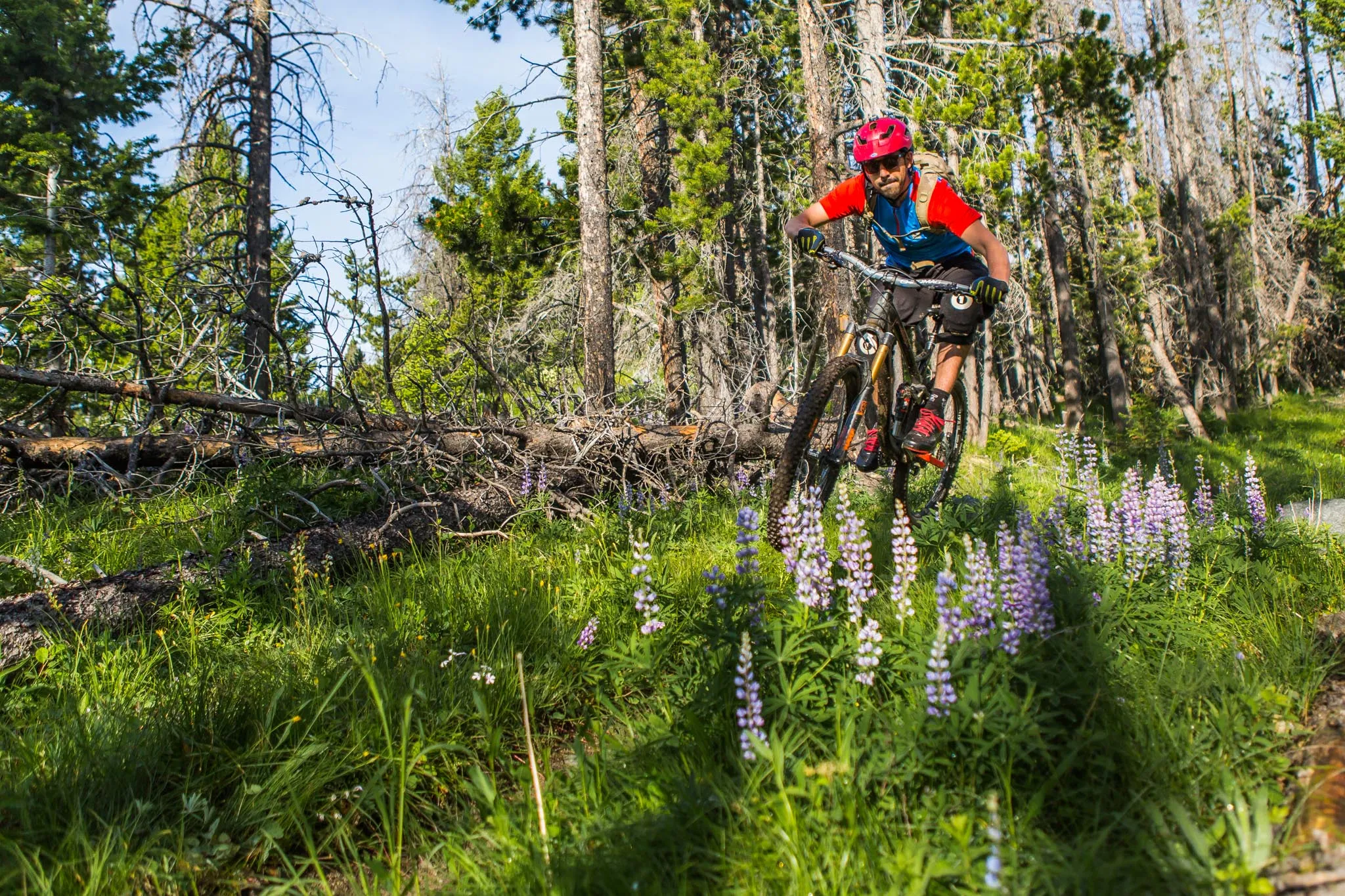 Continental Divide Trail: MacDonald Pass to Priest Pass