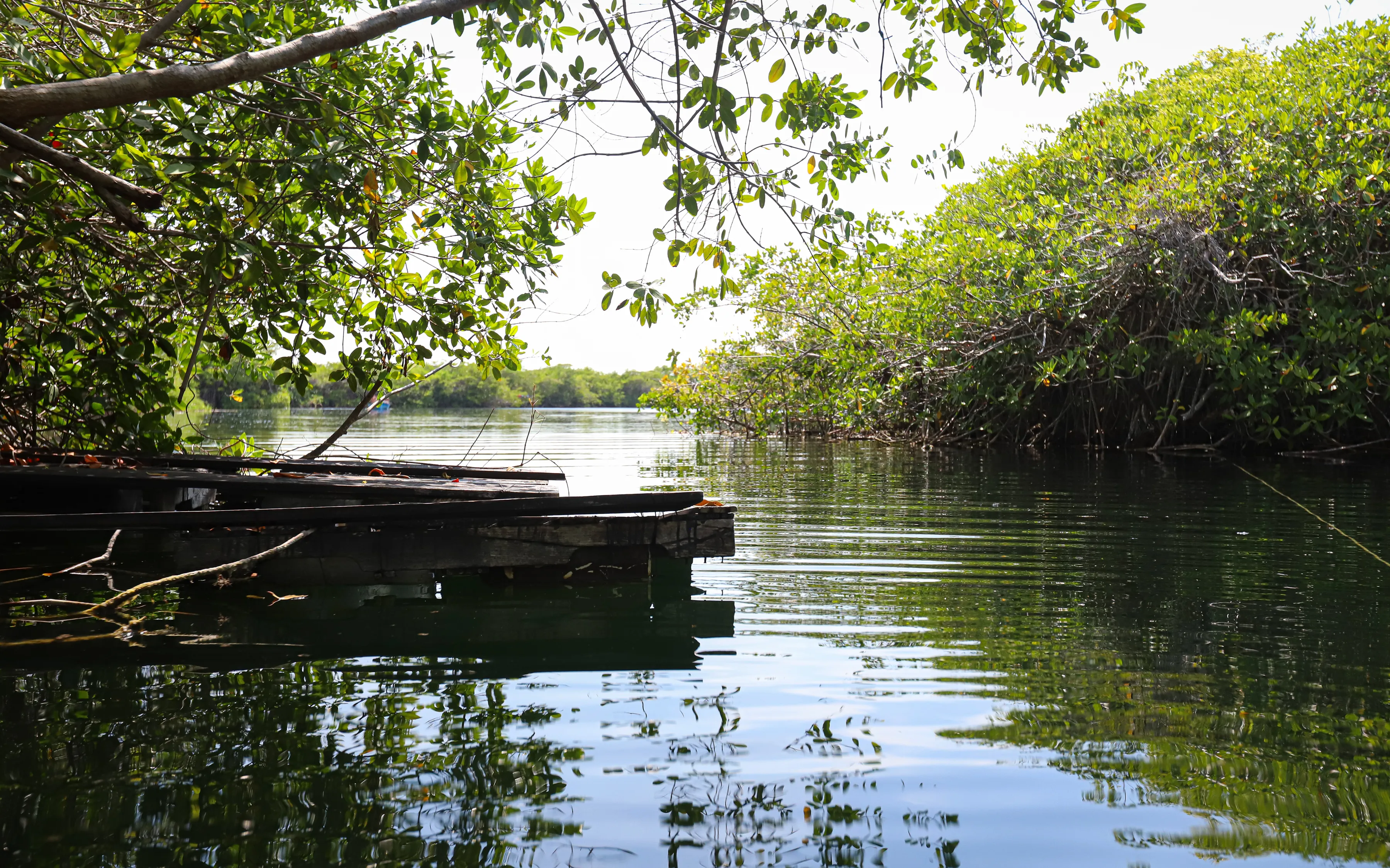 Swim in Cenote Encantado