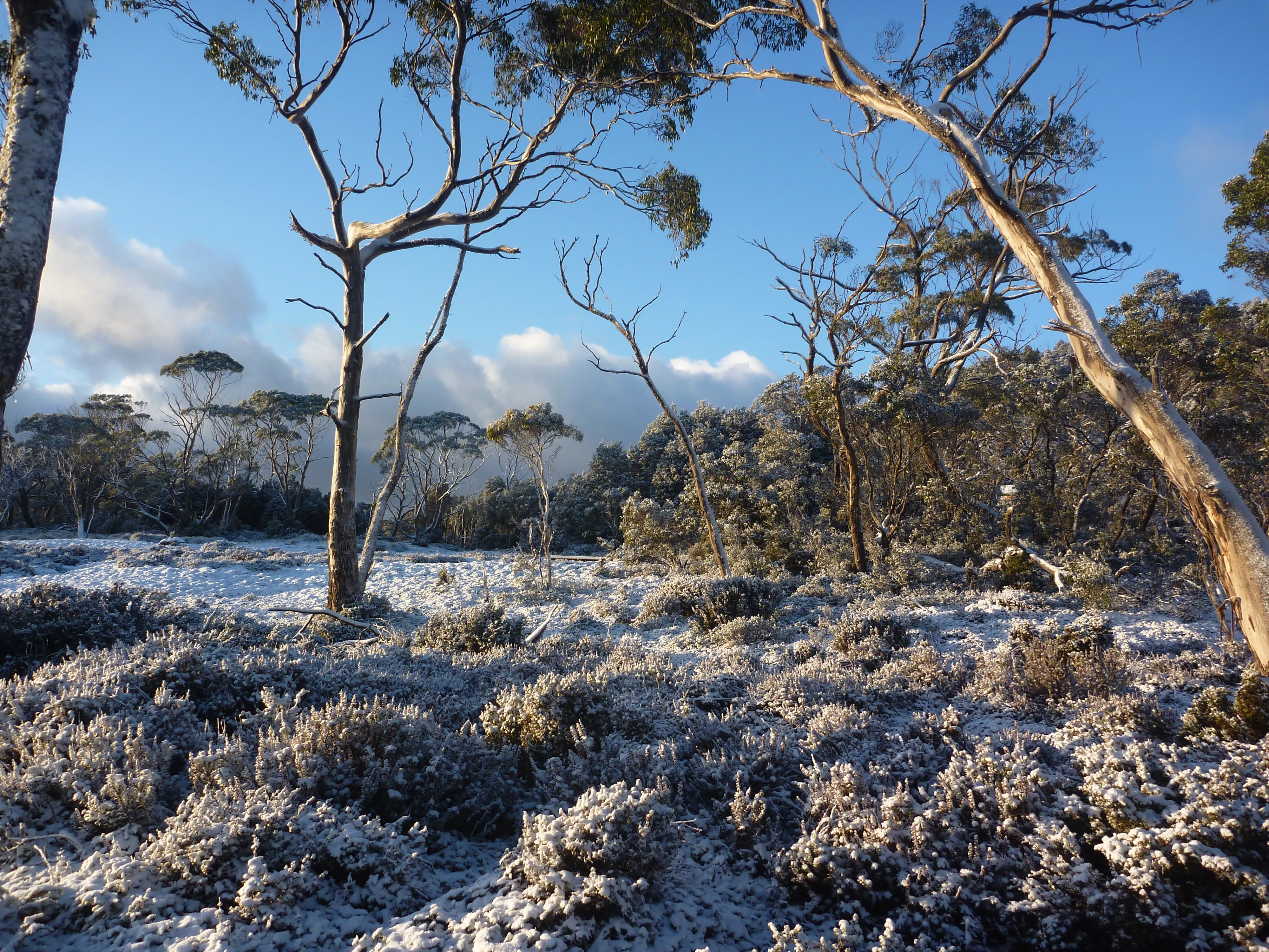 Hike the iconic Overland Track