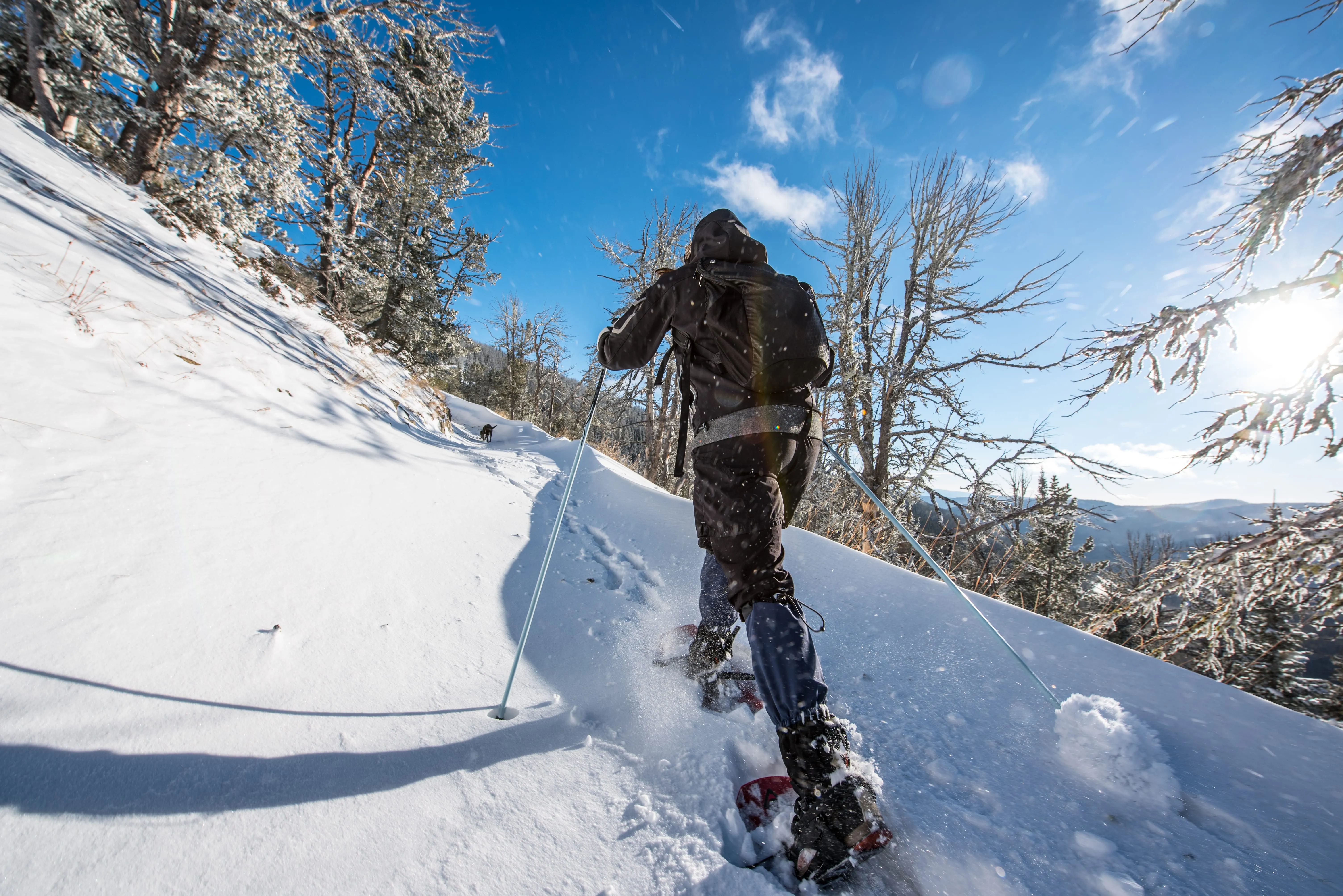 Kings Hill Pass Trail