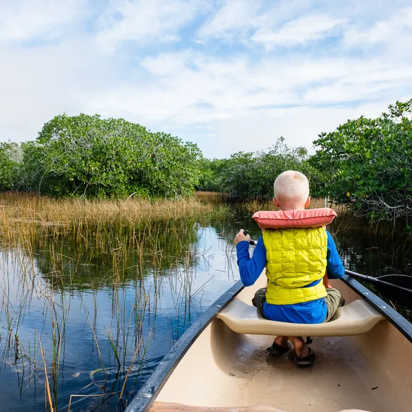 Explore the Wild Side of Florida at Everglades National Park