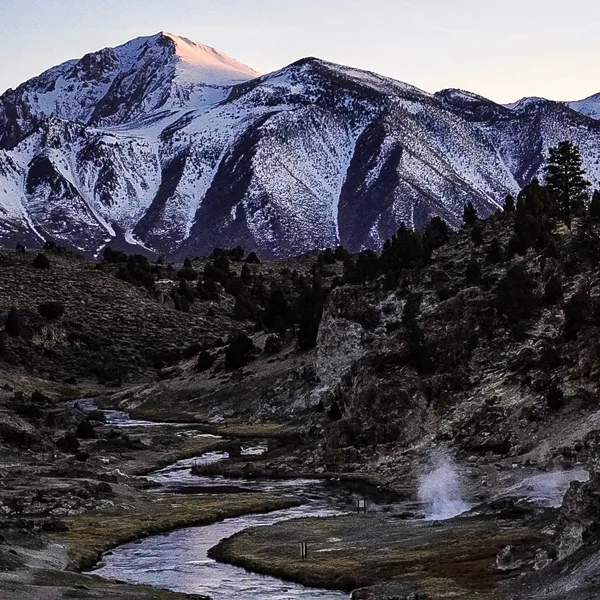 How to Find the Wild From the Comfort of Home