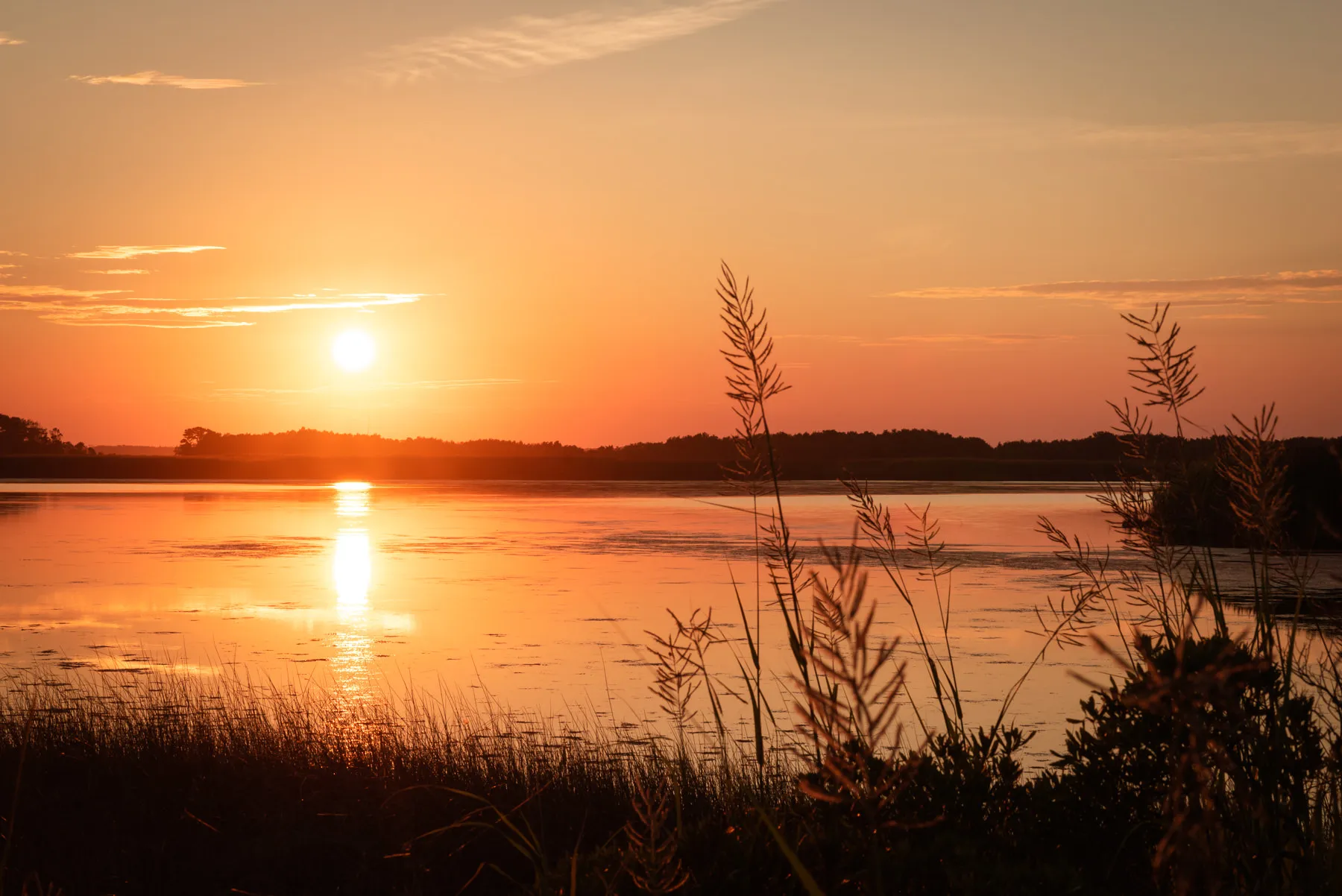 Catch Sunset on the Wild Shores of Back Bay National Wildlife Refuge