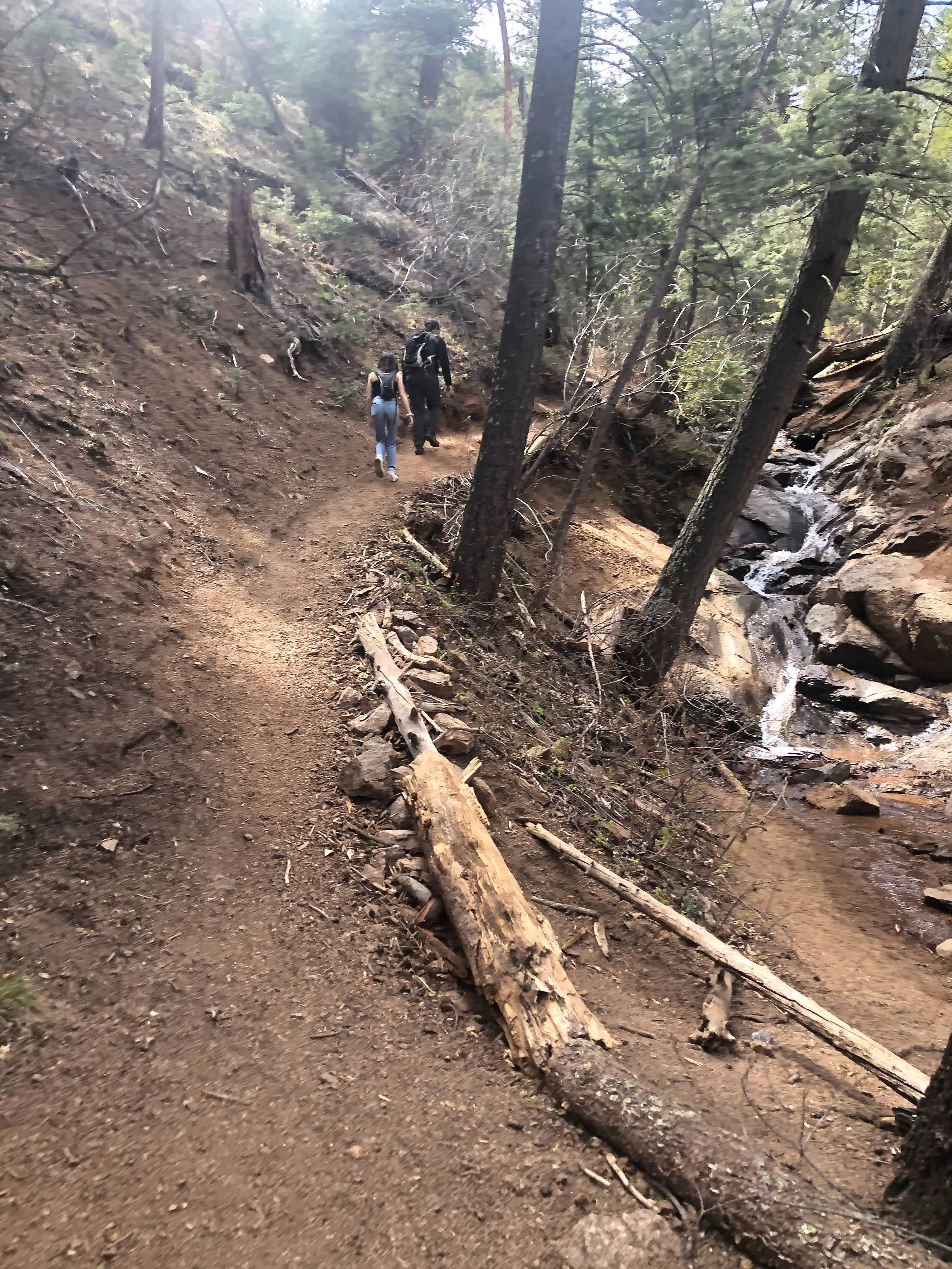 Hike to St. Mary's Falls
