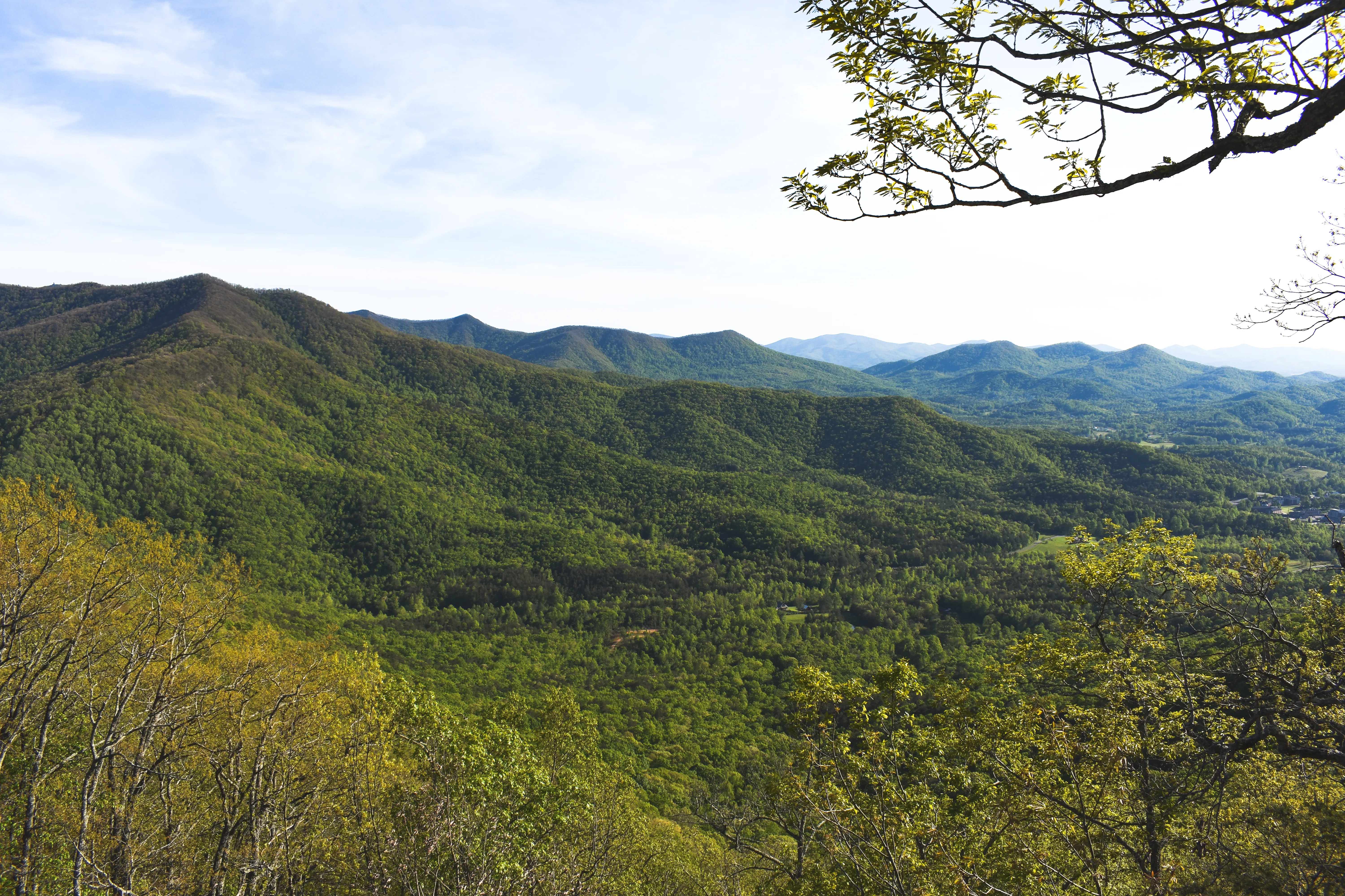 Hike the Miller Trek