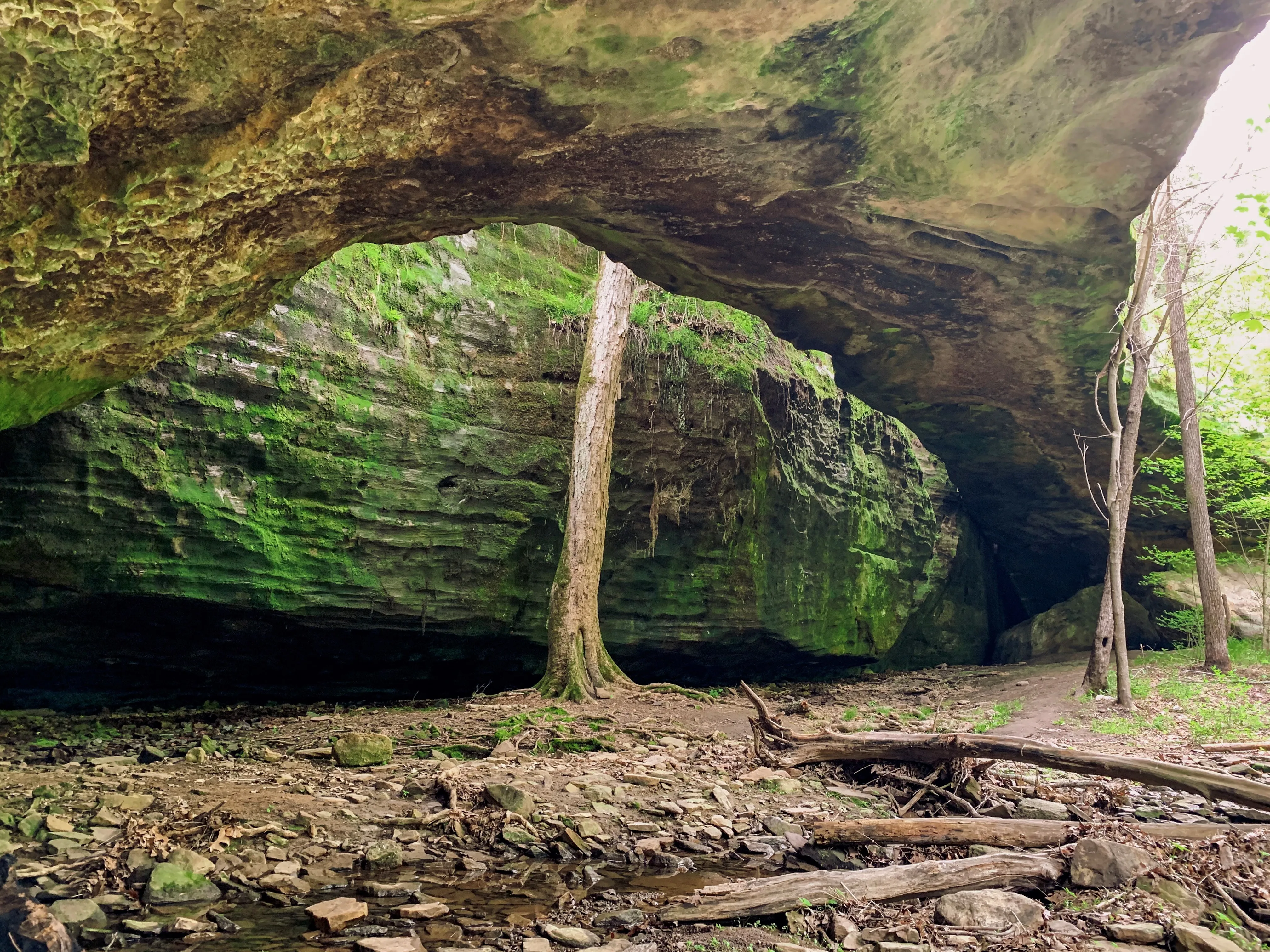 Hike the Mantle Rock Nature Preserve Loop