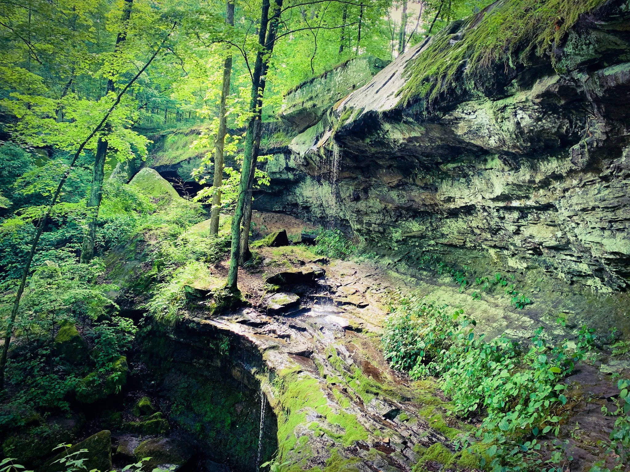 Hike Rocky Bluff Trail