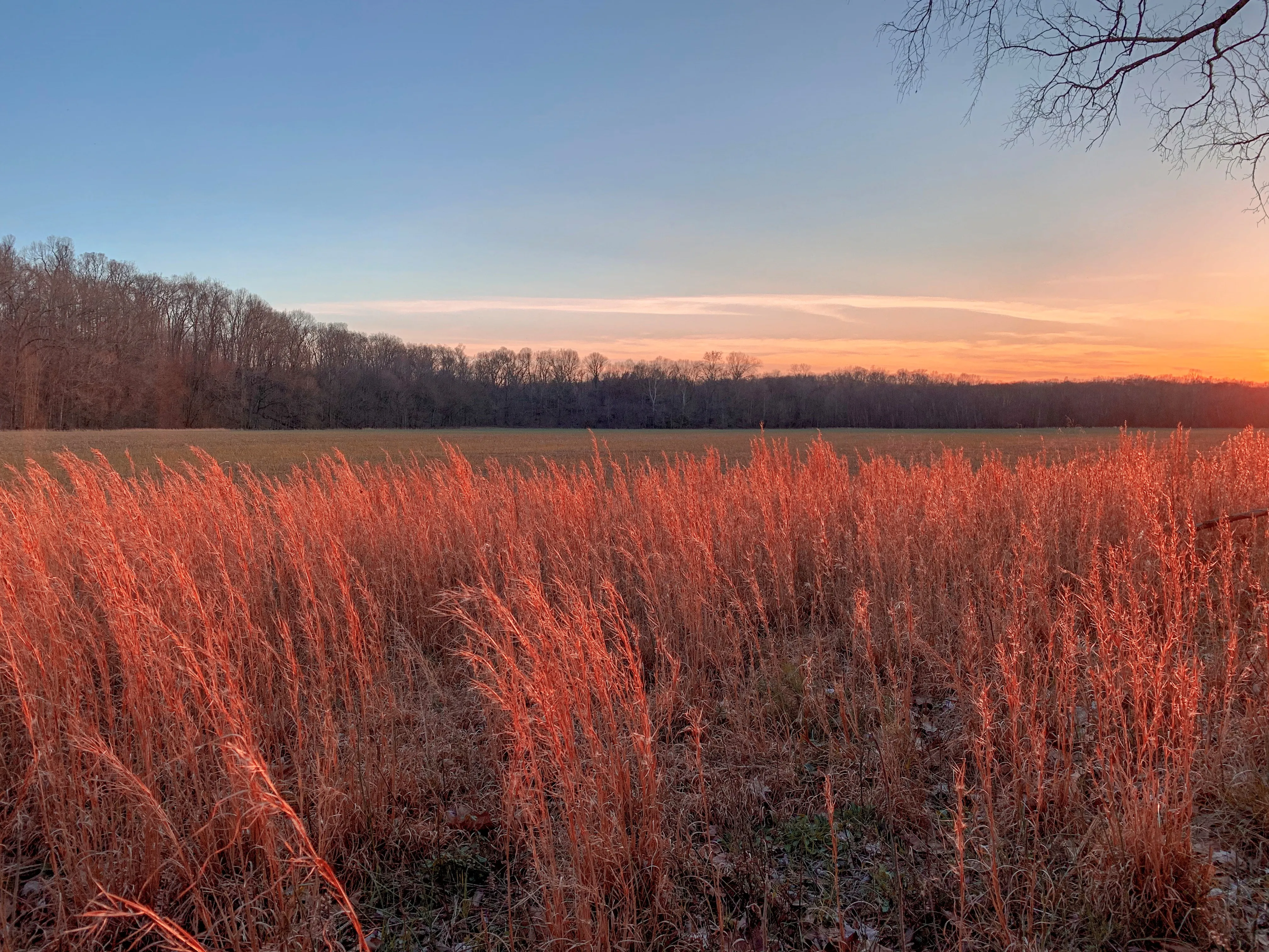 Backpack the North - South National Scenic Trail