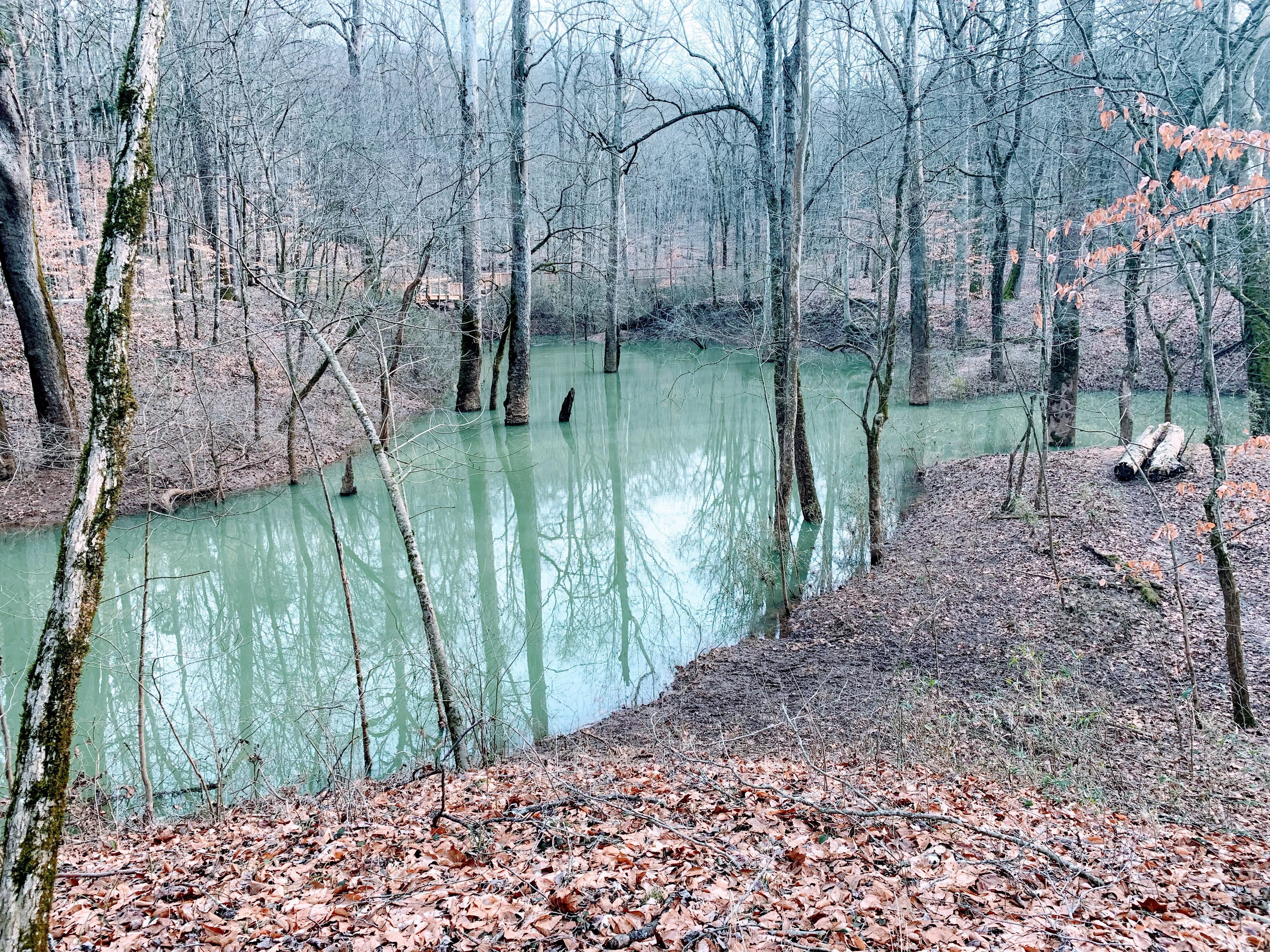 Echo River Spring Trail