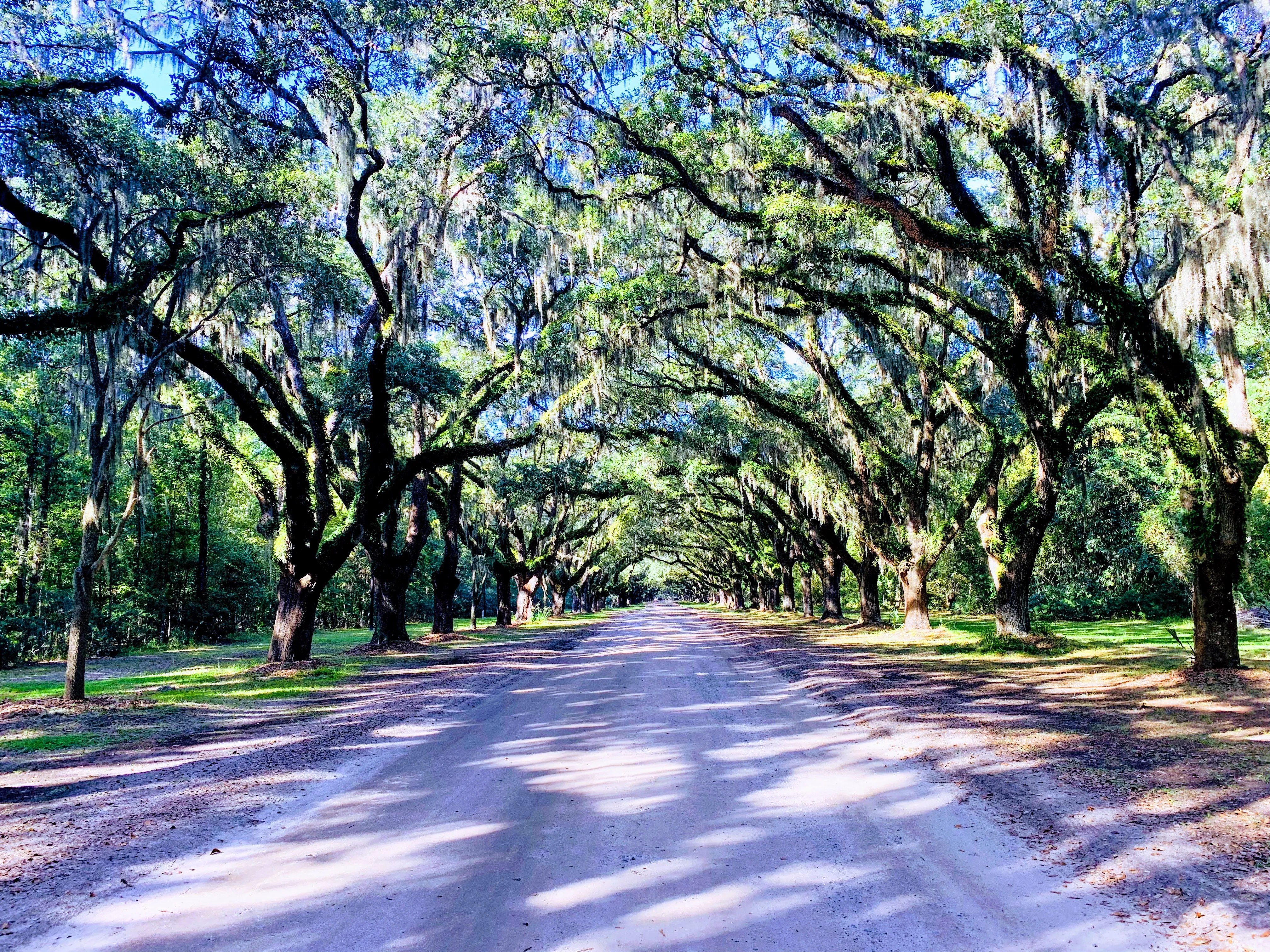Wormsloe State Historic Site