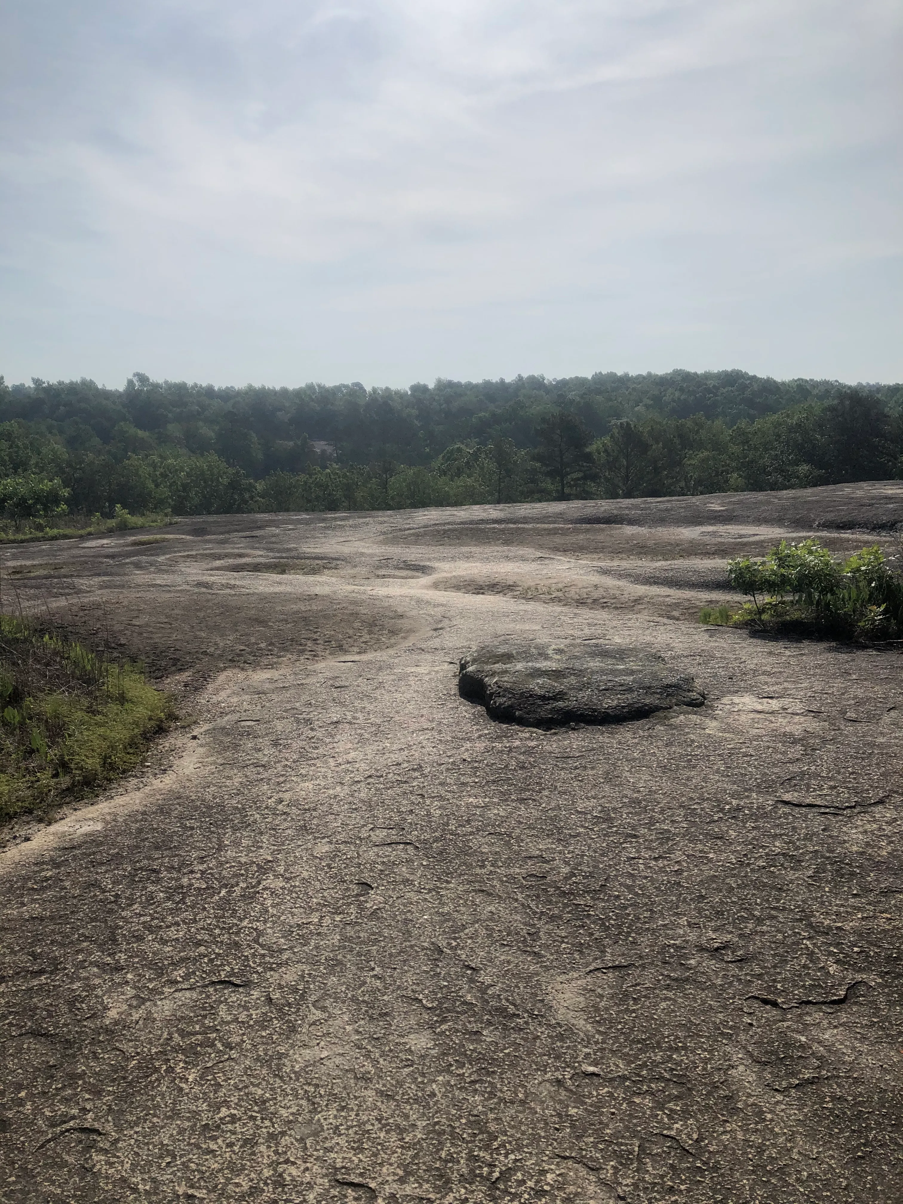 Forty Acre Rock and Beaver Pond Loop