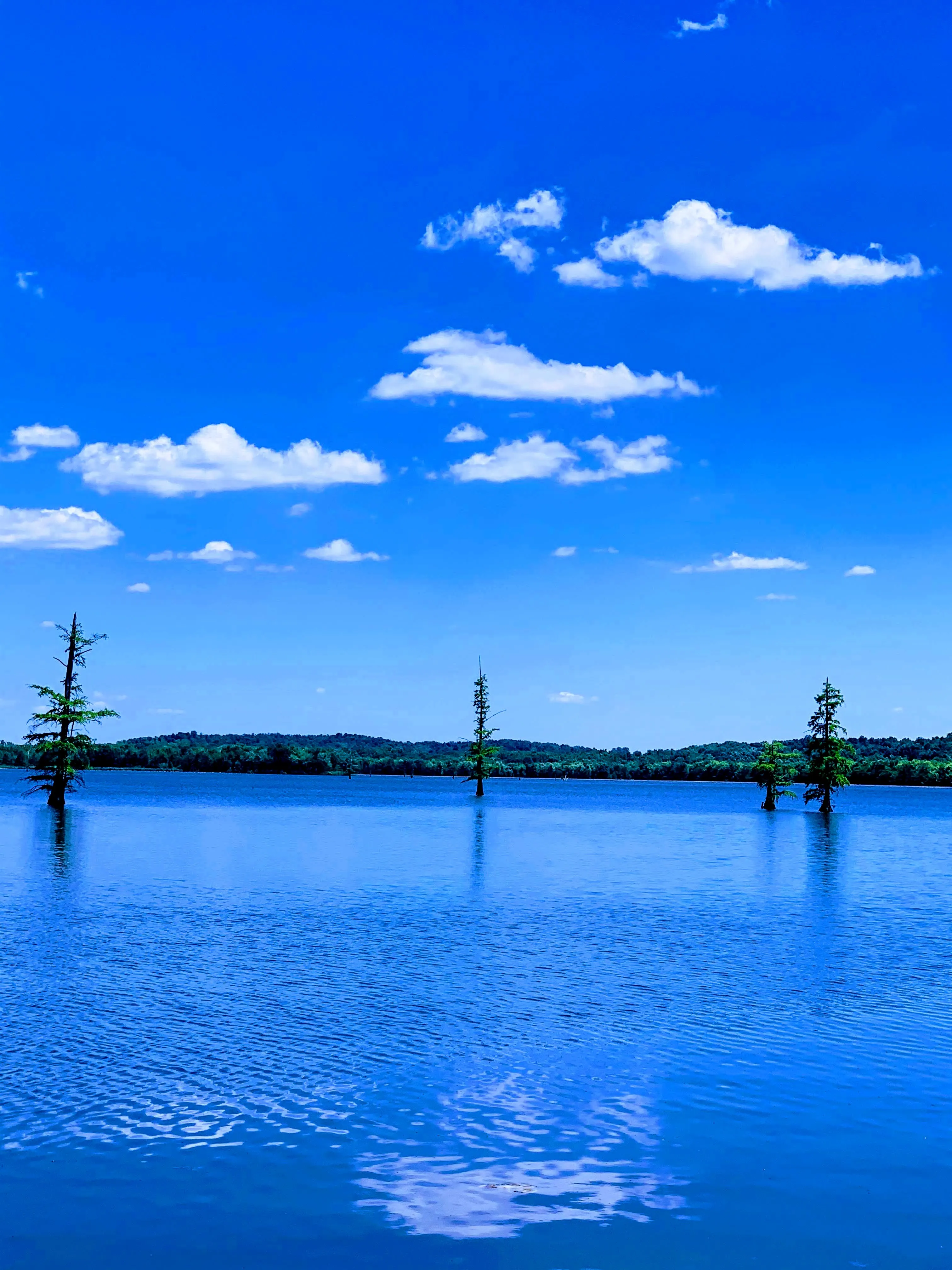 Paddle Mermet Lake
