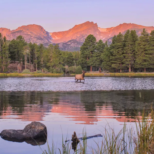 New Timed Entry System for Rocky Mountain National Park