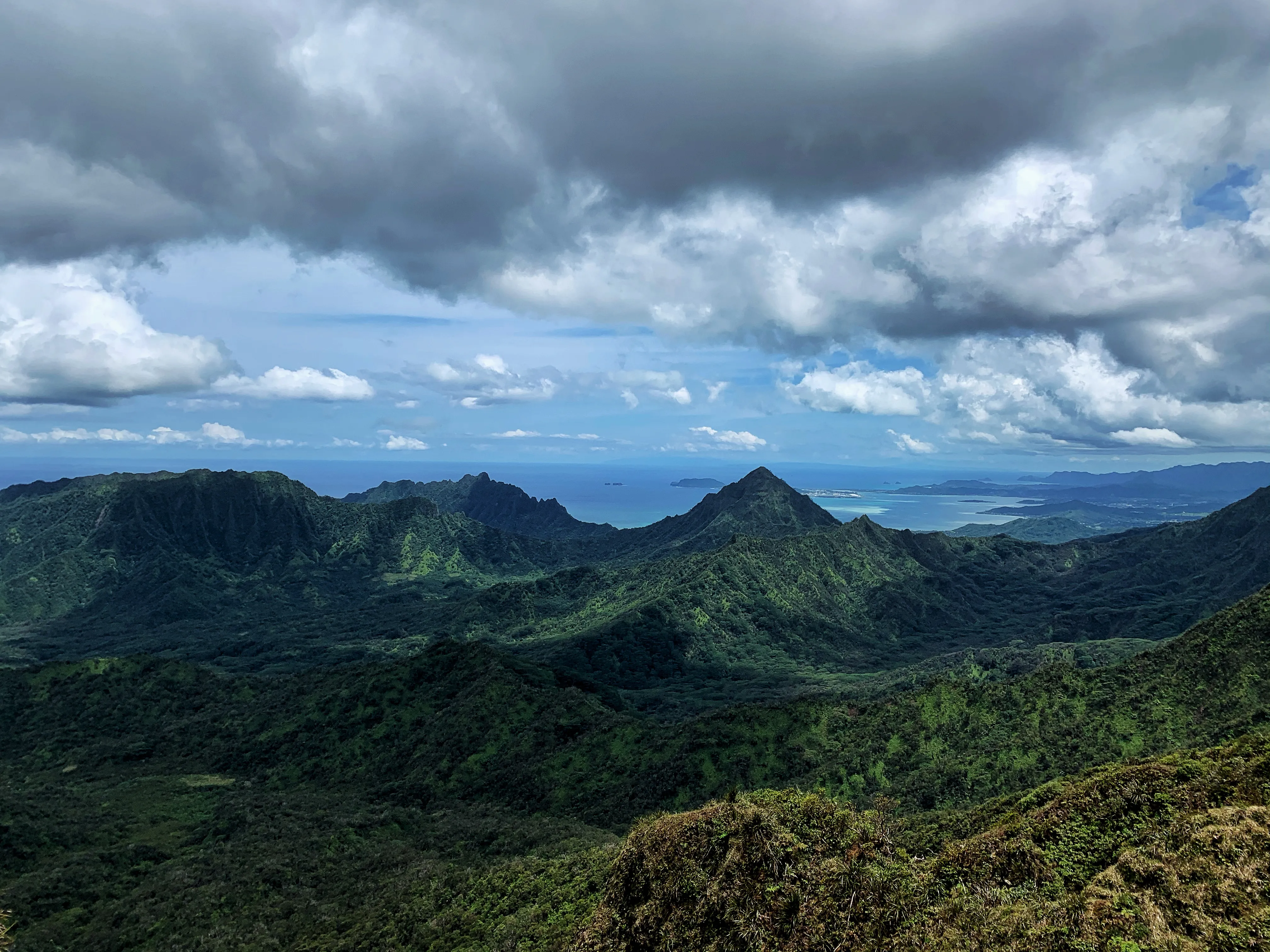 Poamoho Ridge Trail