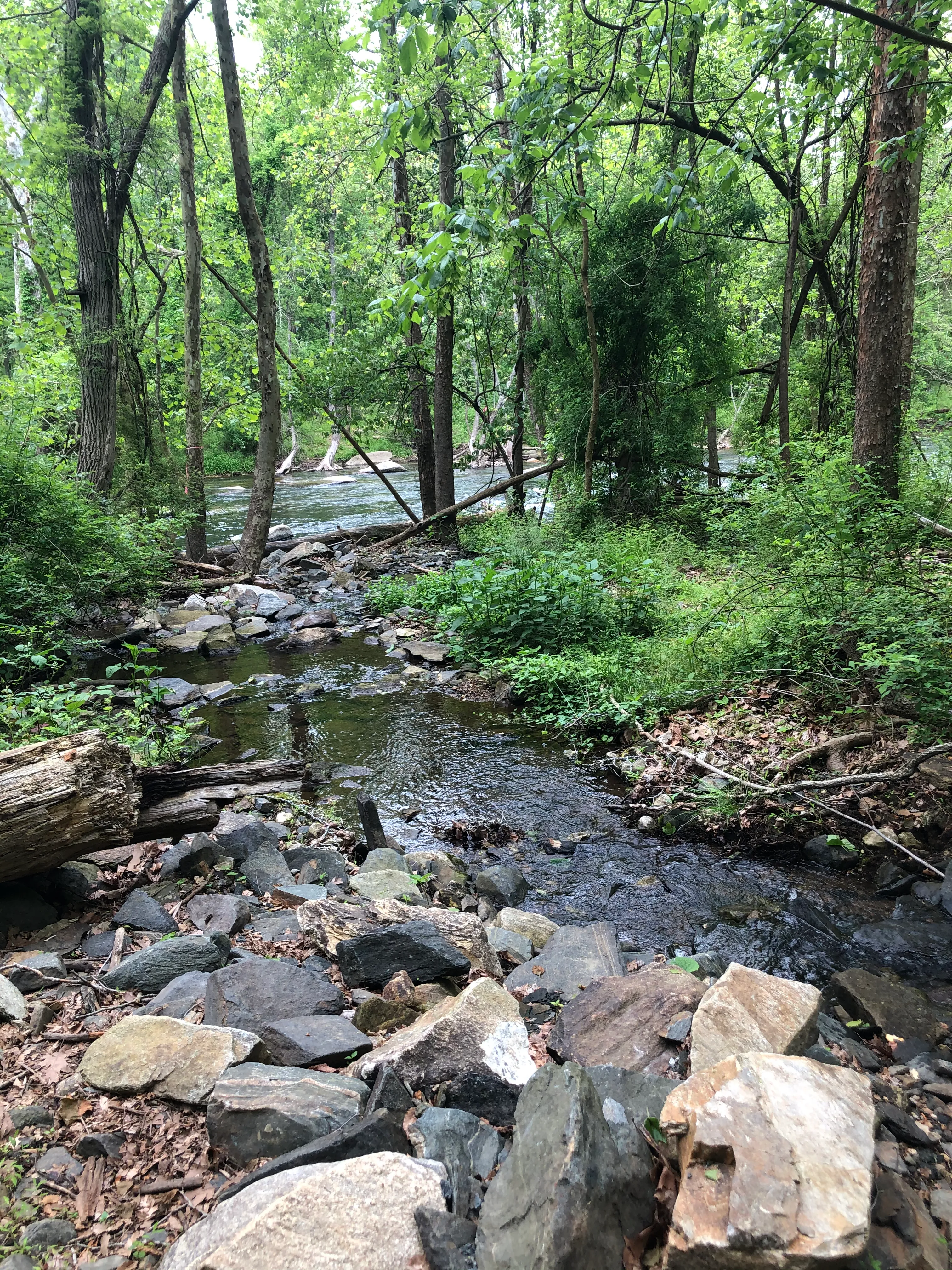  Hike the Gunpowder Falls North and South Loop Trail
