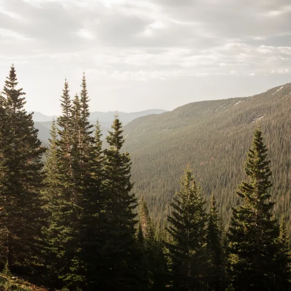 Camp for Free: A Quick Guide to Dispersed Camping in Colorado