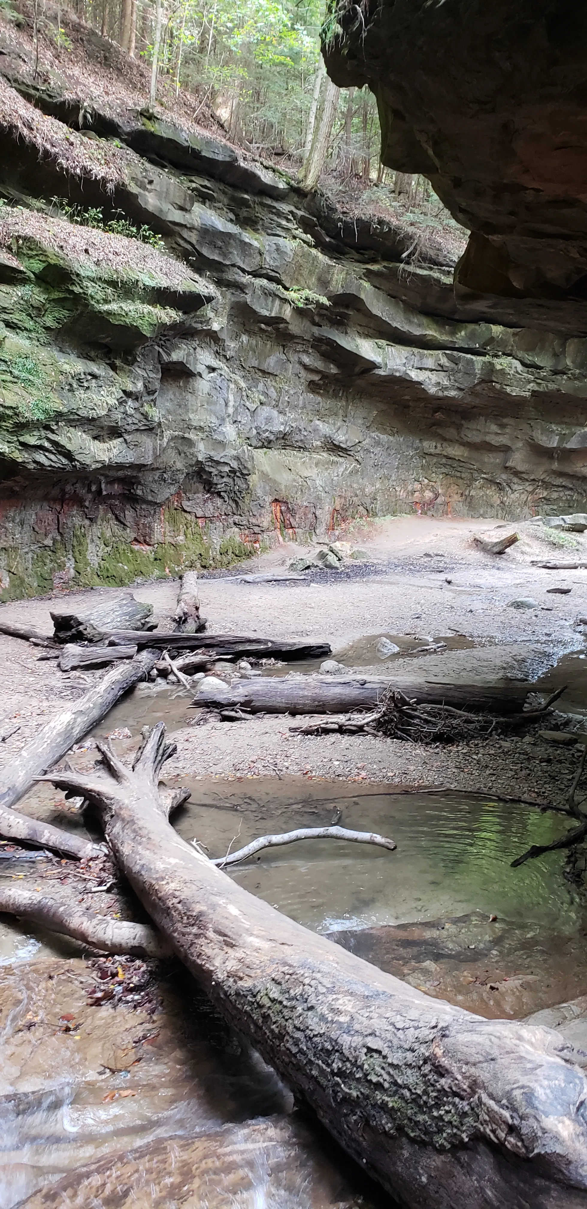 Canyons Loop of Turkey Run State Park
