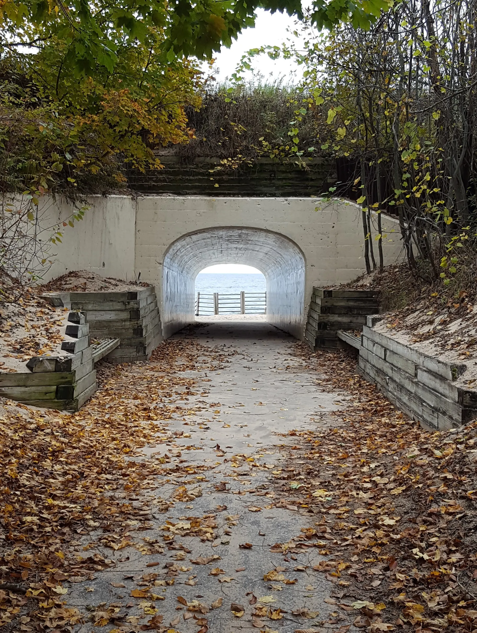 Explore Tunnel Park