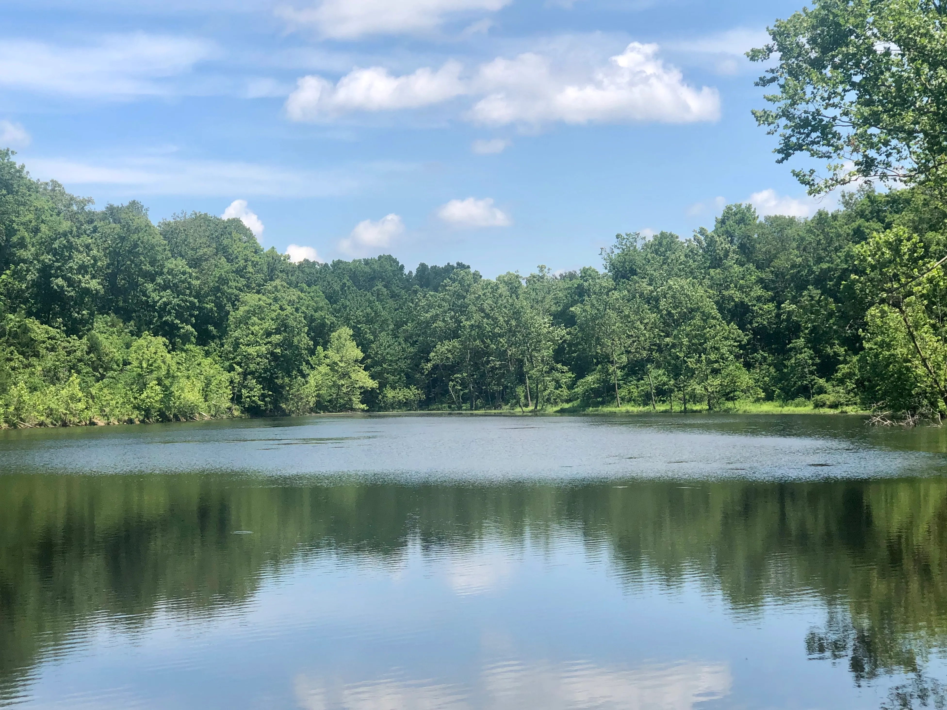 Hike the West Big Buffalo Creek Loop