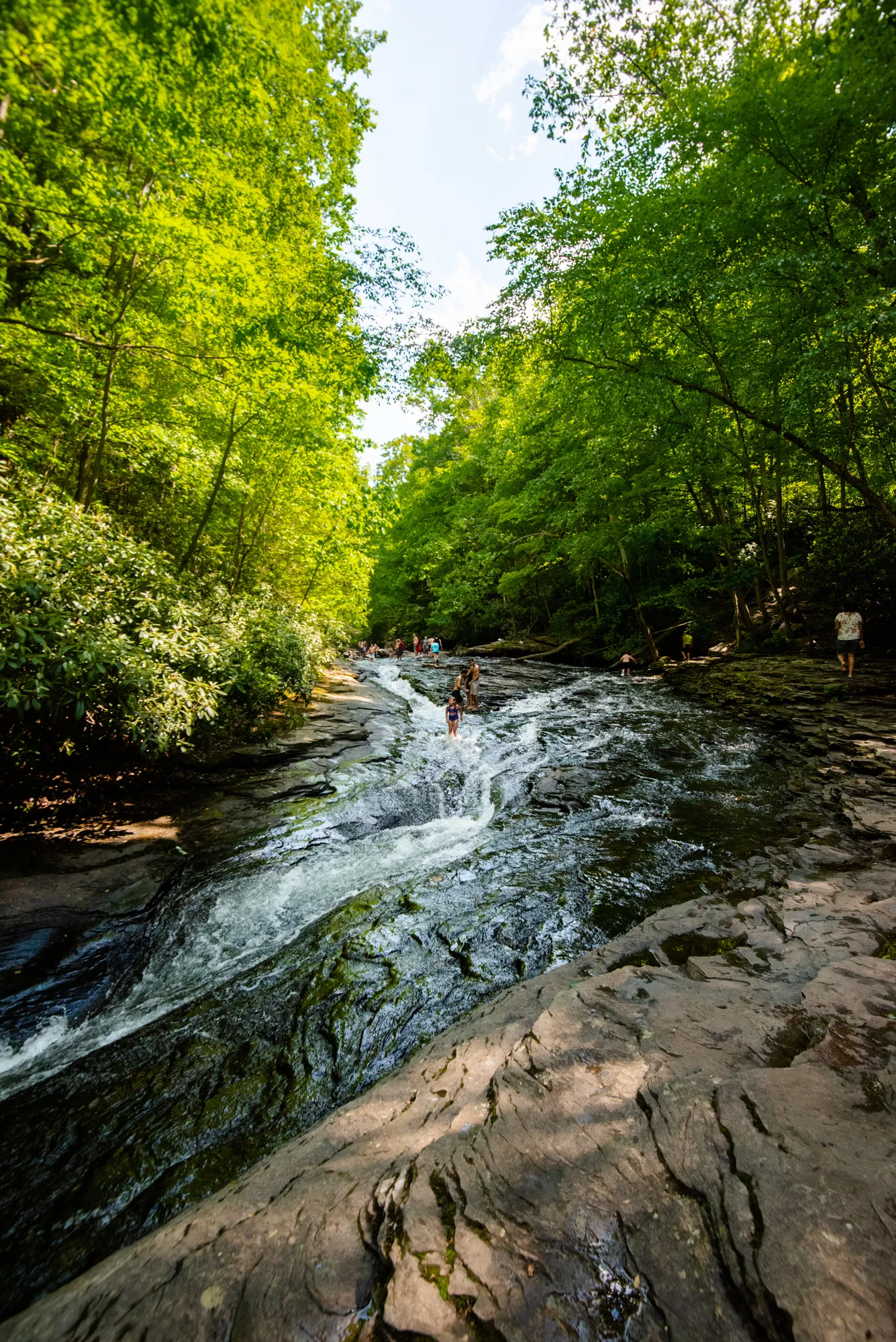 Meadow Run Natural Water Slide
