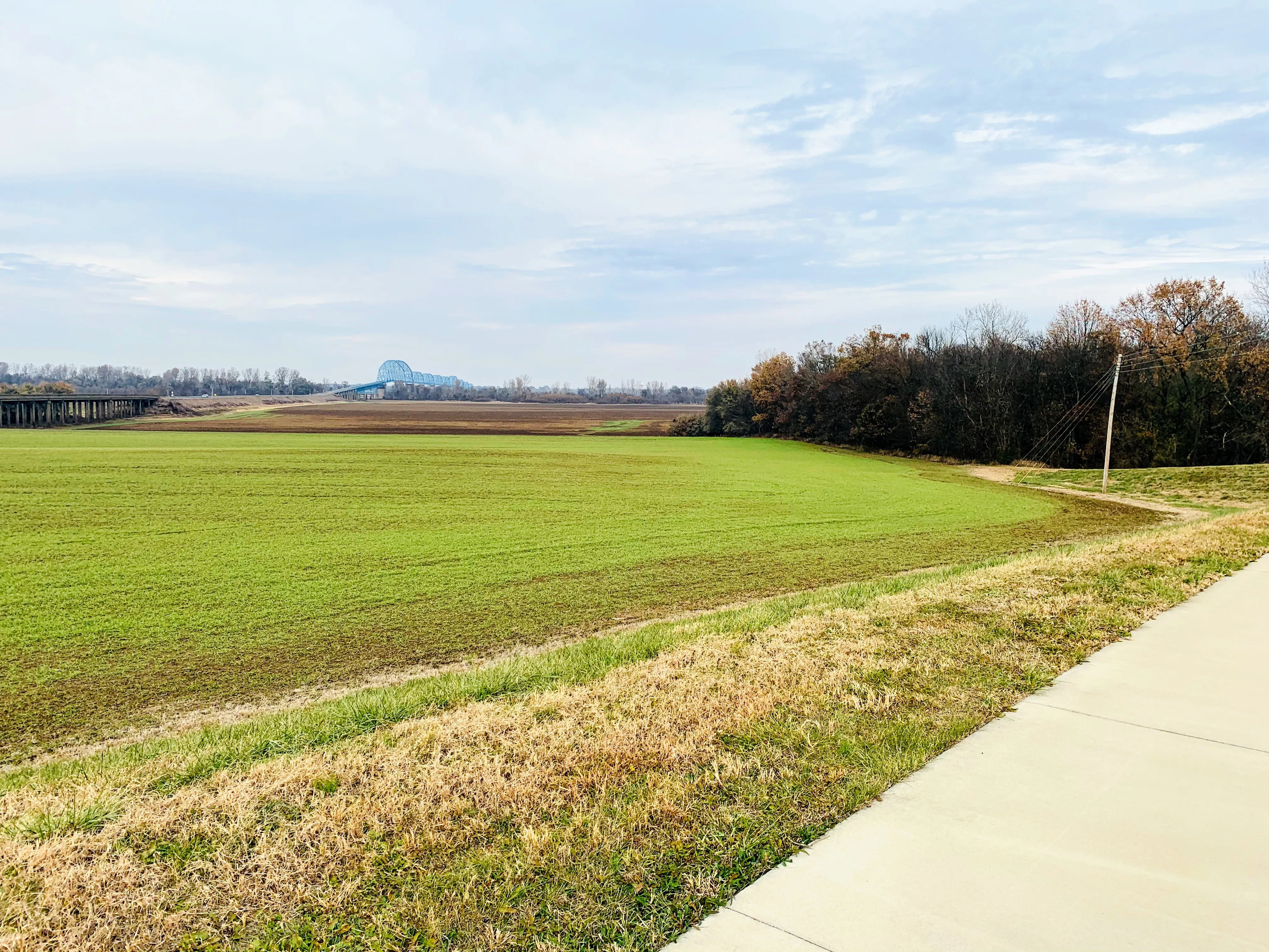 Bike or Run the Greenway Trail