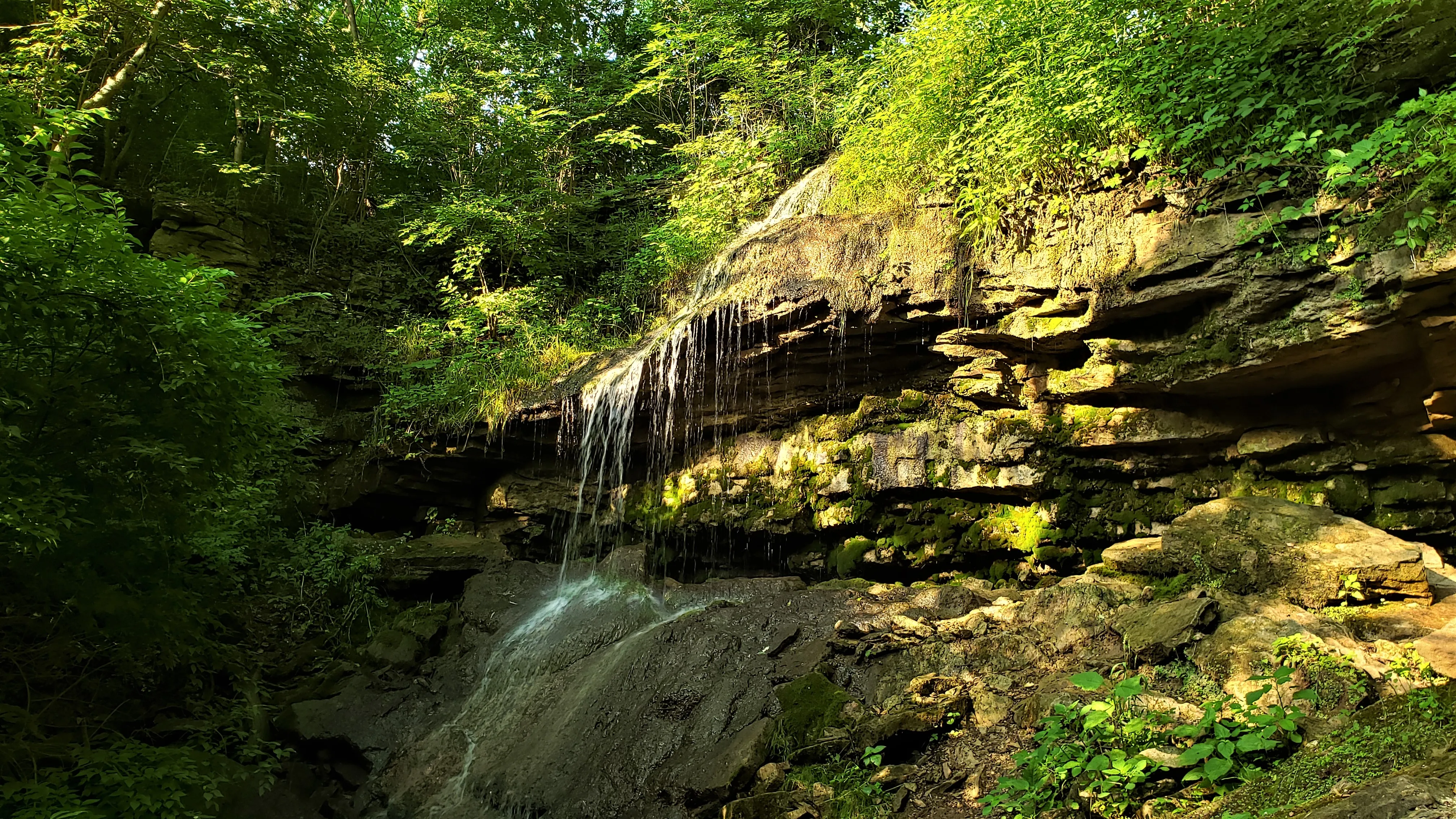 Waterfall Loop at Englewood MetroPark