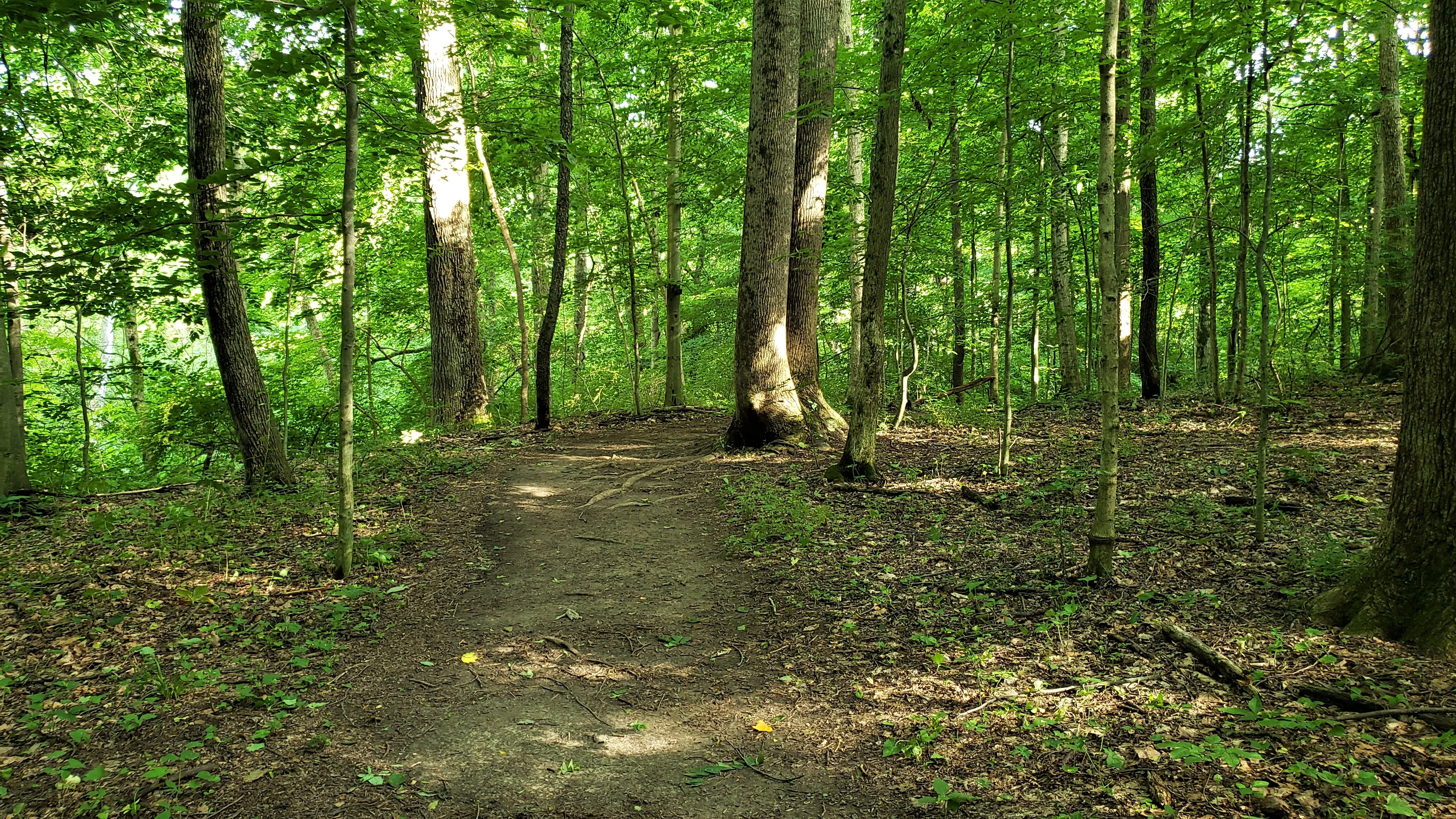Hike at Bill Yeck Park