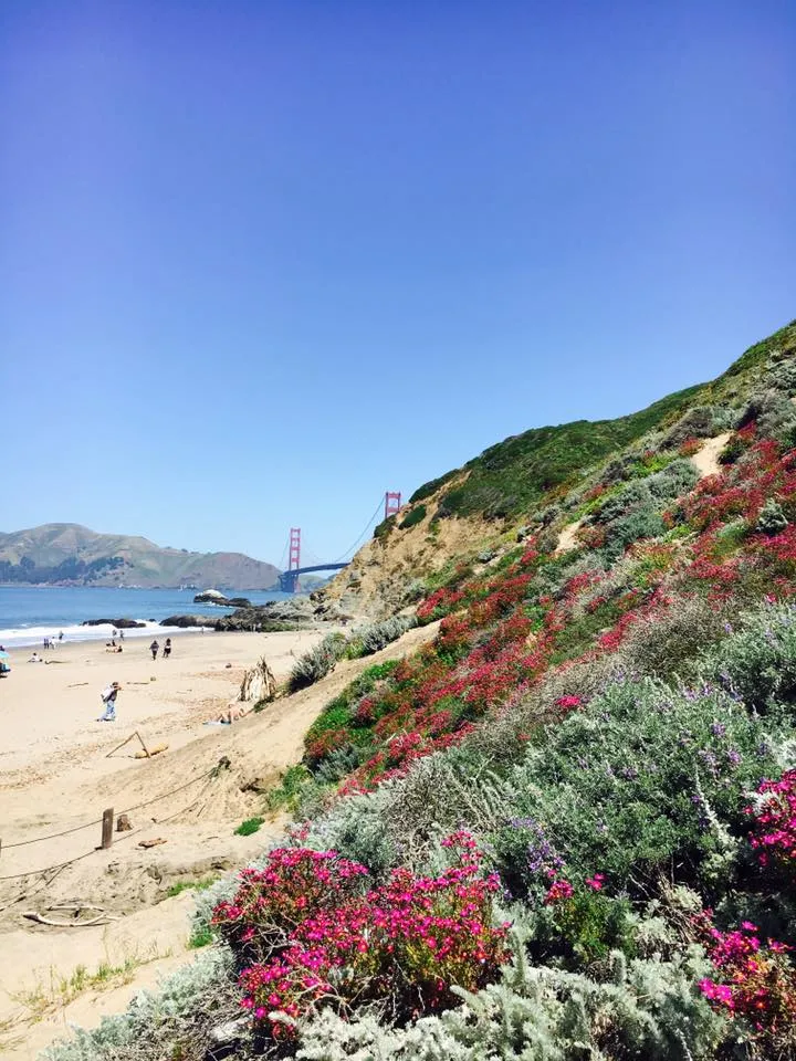 Baker Beach