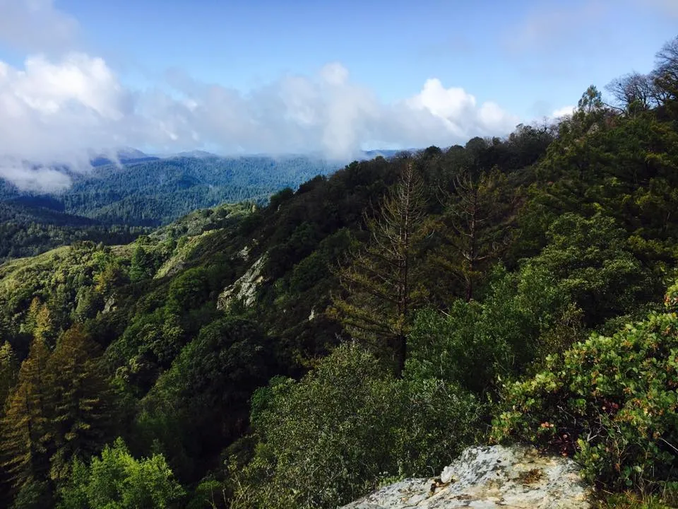Saratoga Gap & Ridge Trail Loop