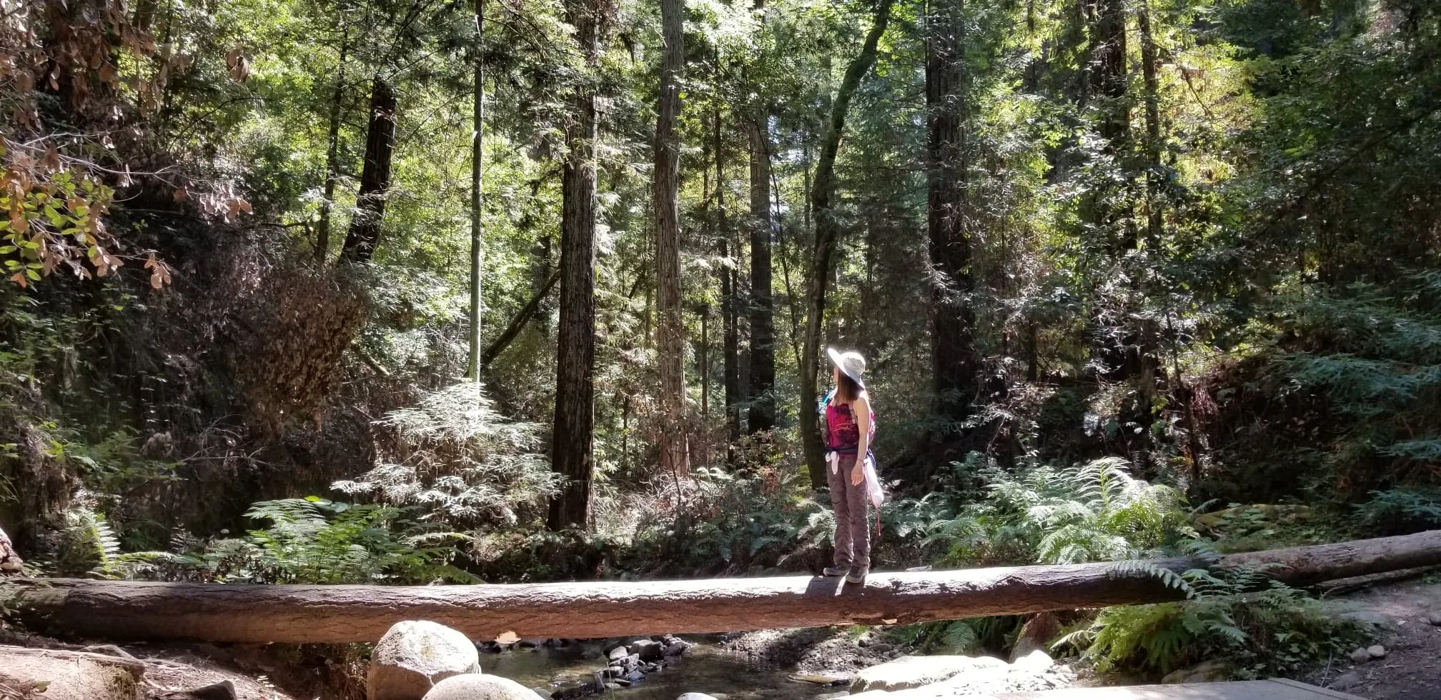 Fall Creek Trail