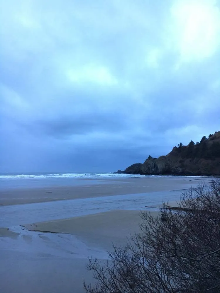 Surf Agate Beach