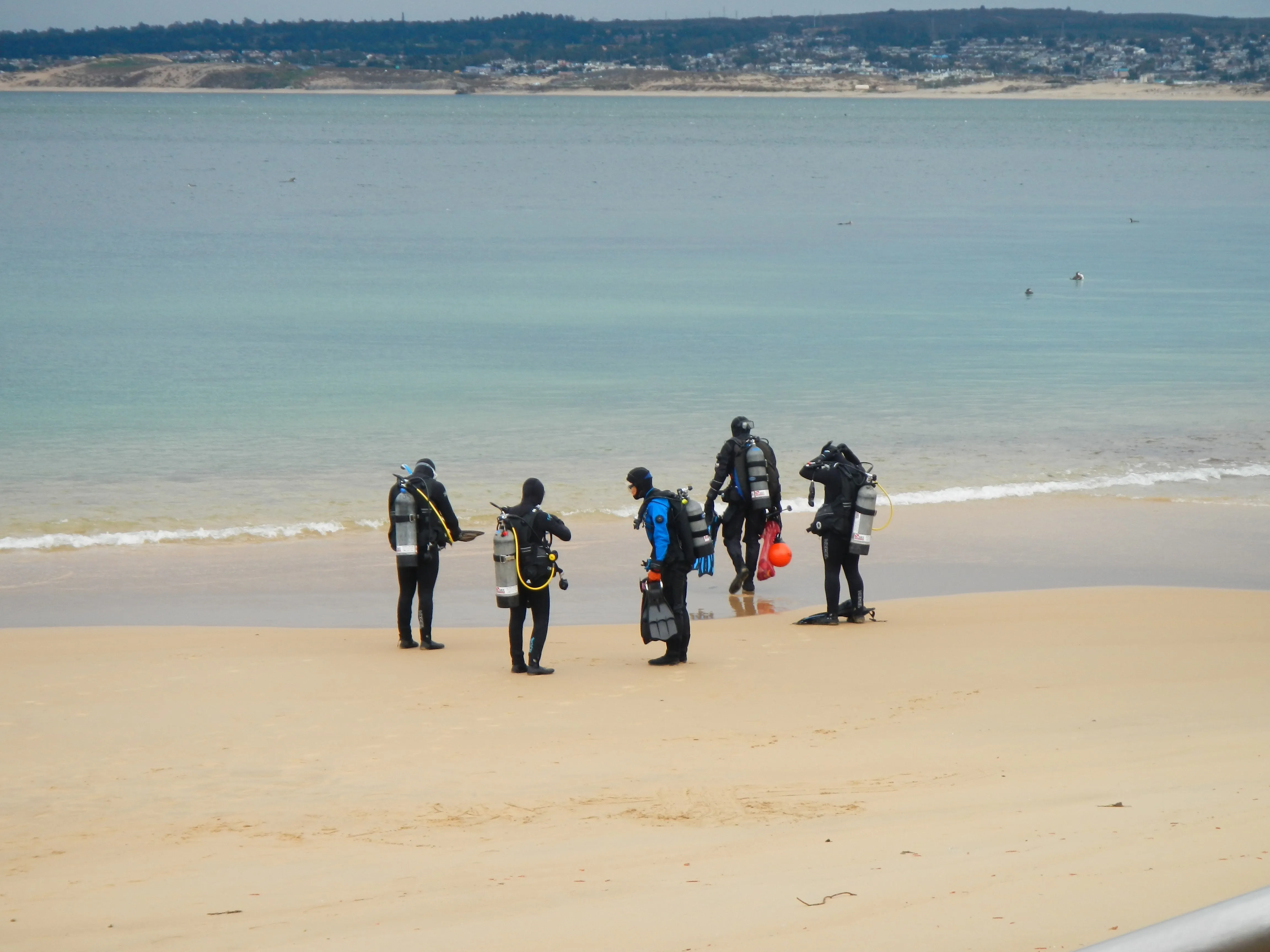 Scuba Dive Breakwater Cove